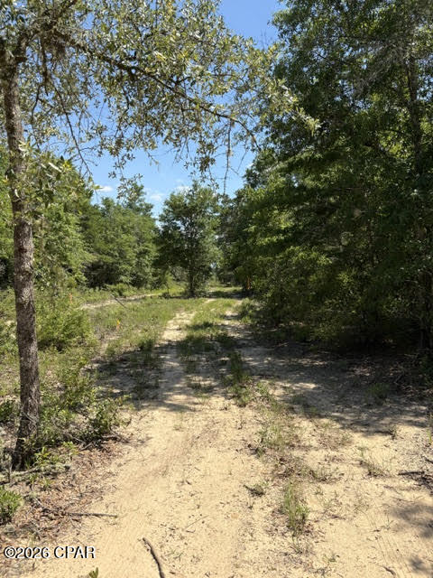 main property photo 8