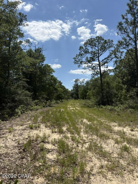 main property photo 16