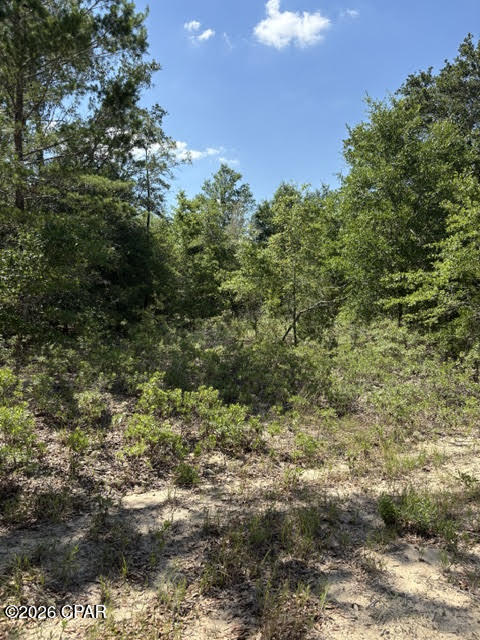 main property photo 25
