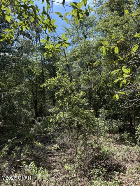 main property photo 31