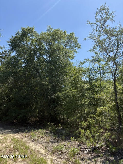 main property photo 33