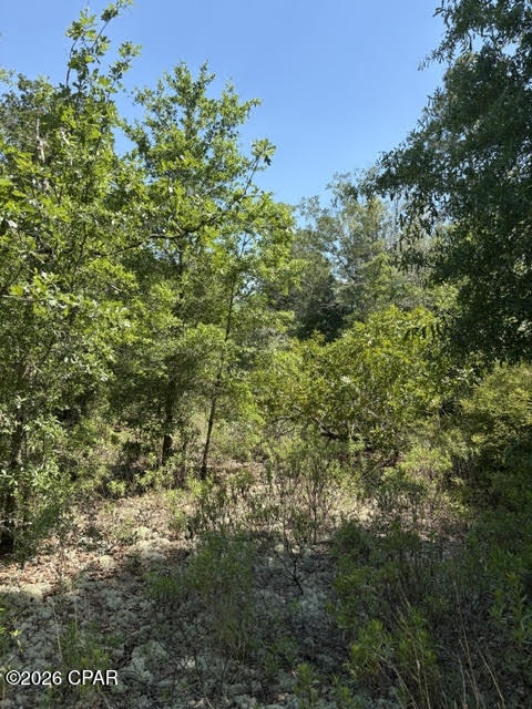 main property photo 36
