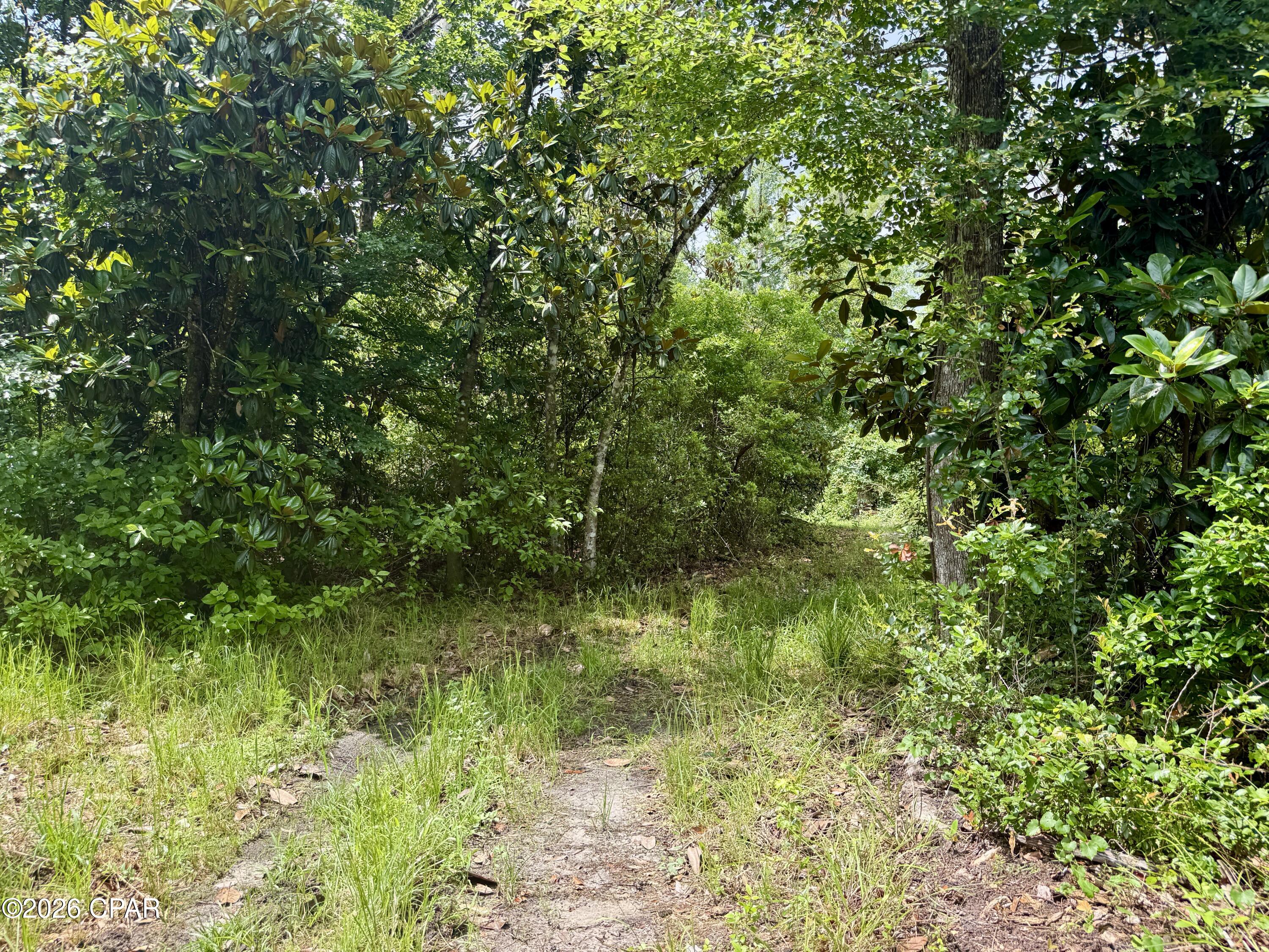 main property photo 26