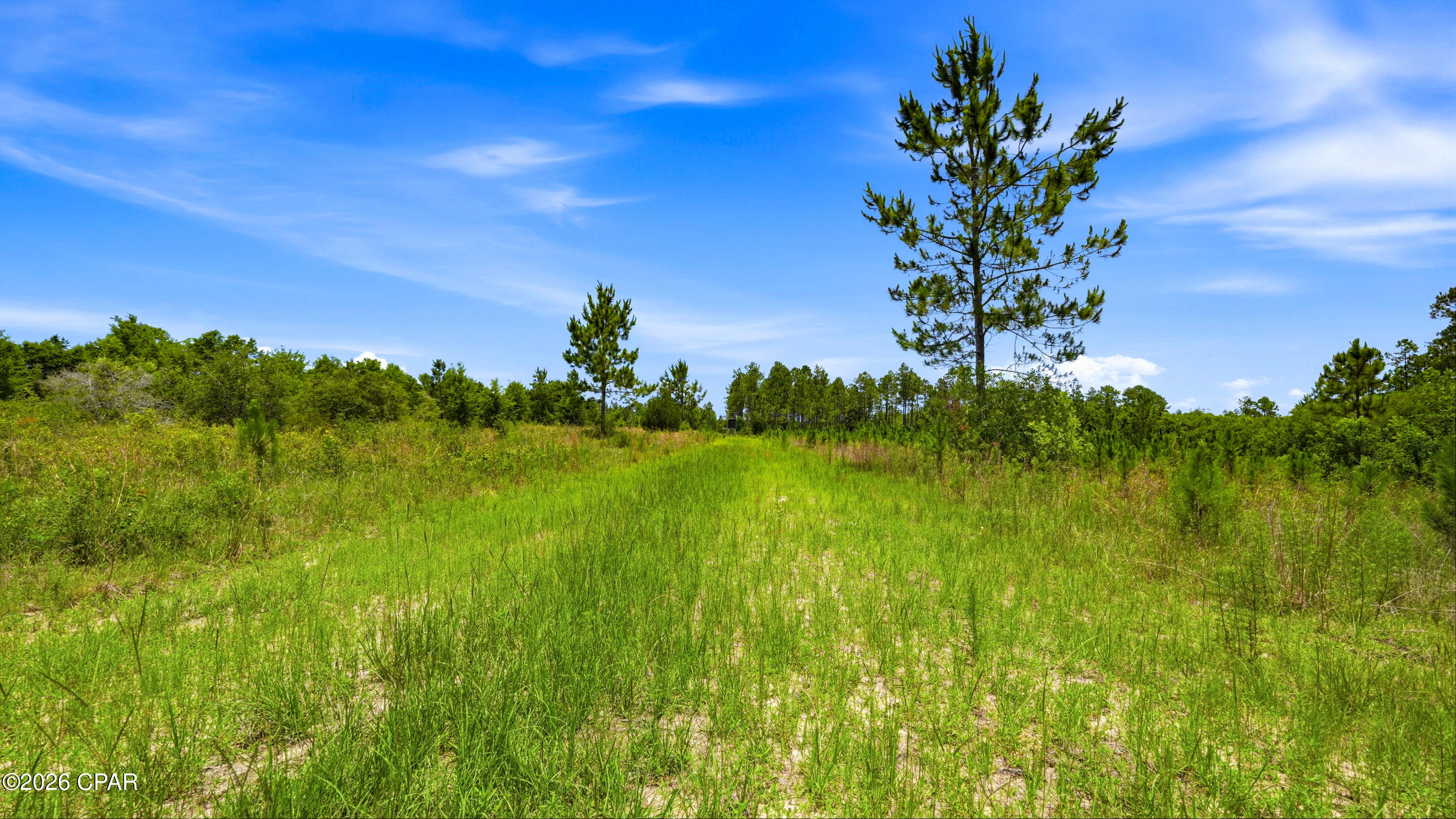 main property photo 64