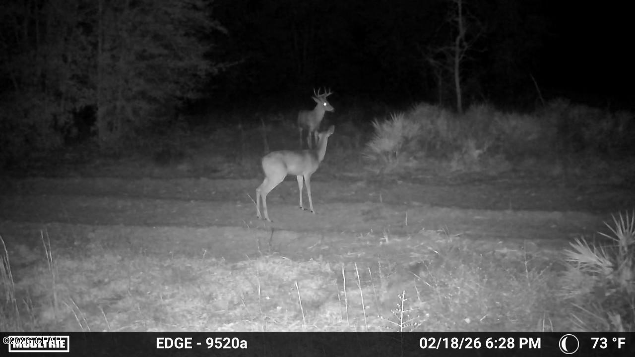 main property photo 66