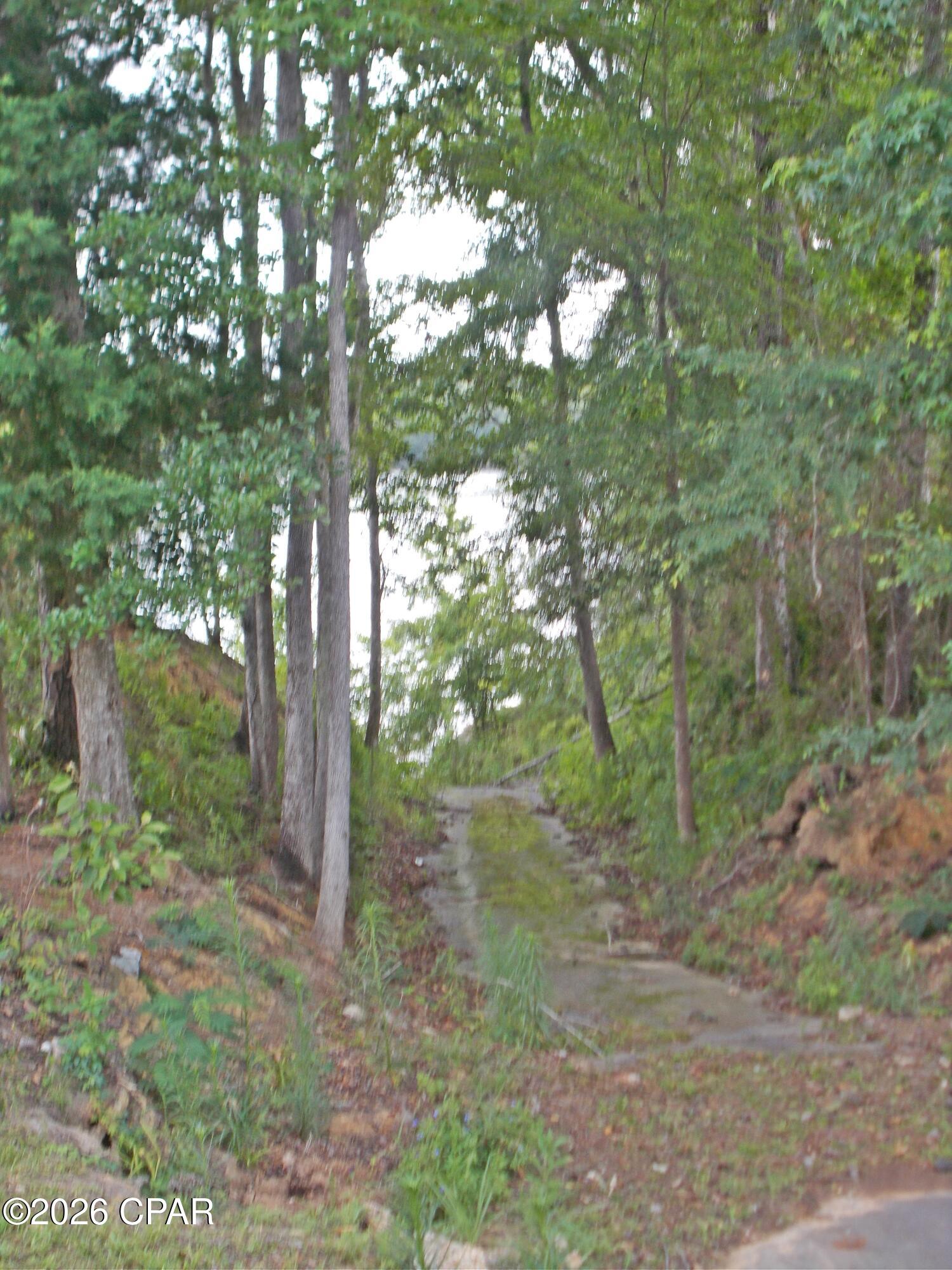 main property photo 35