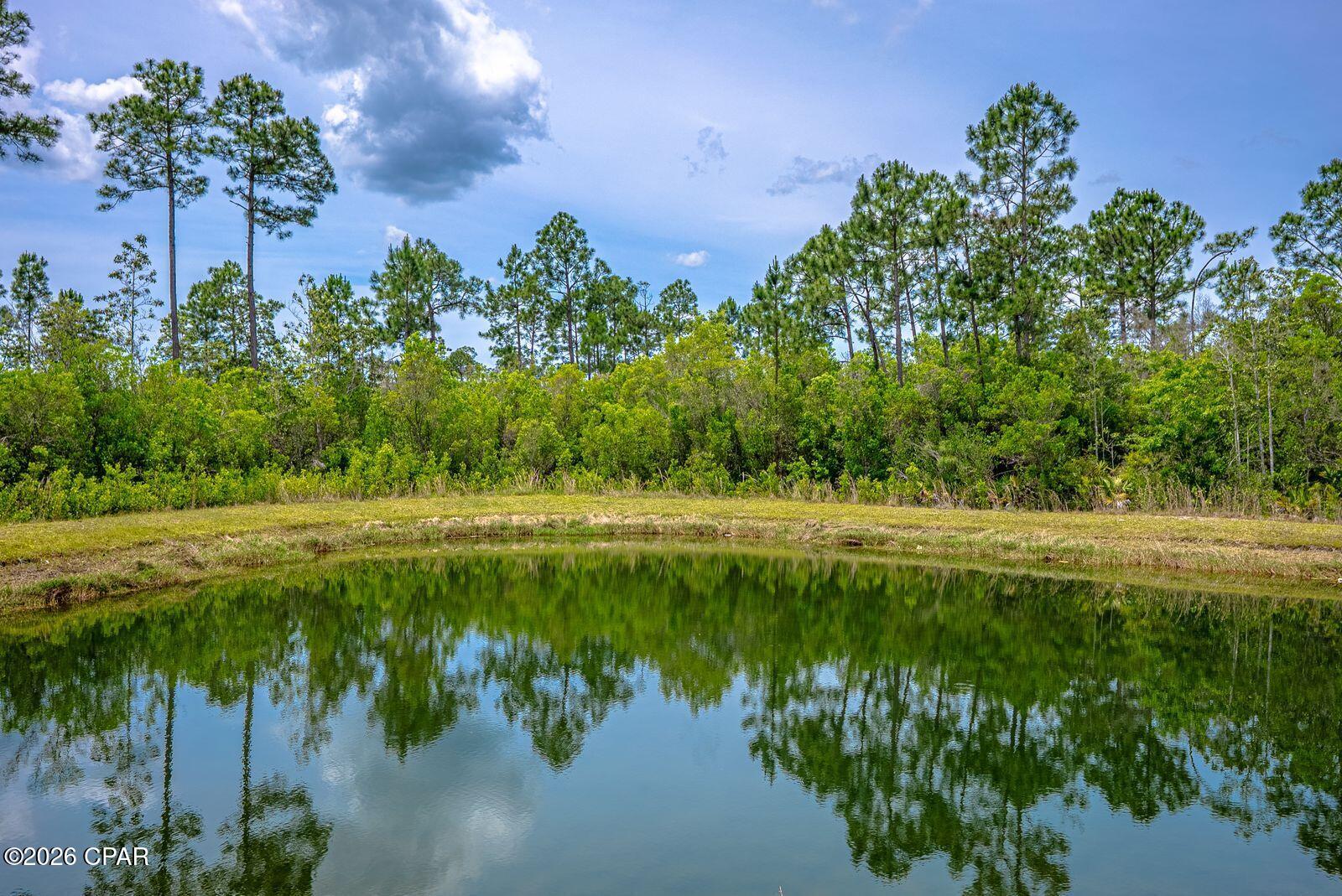 main property photo 40