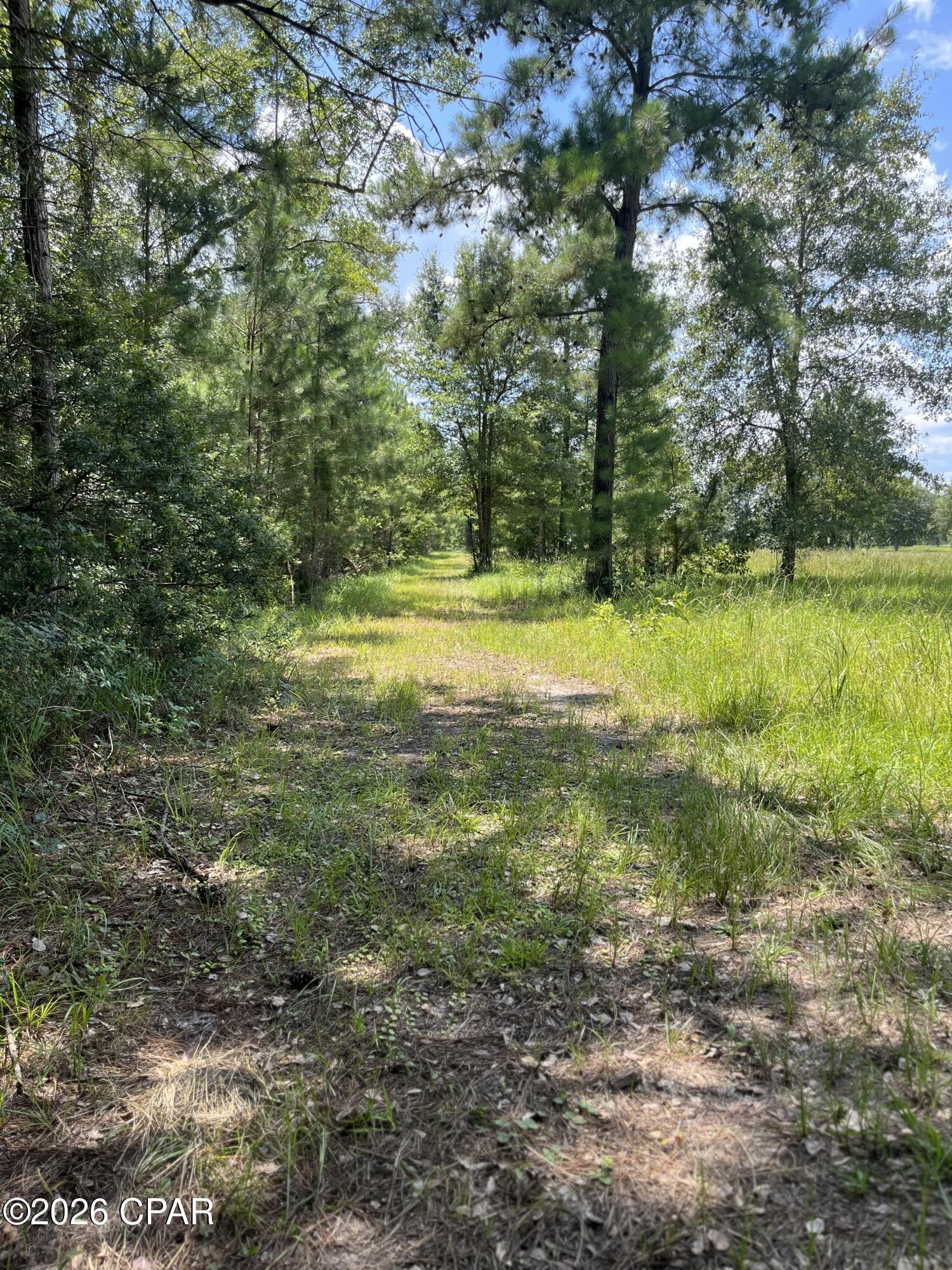 property viewer photo 10