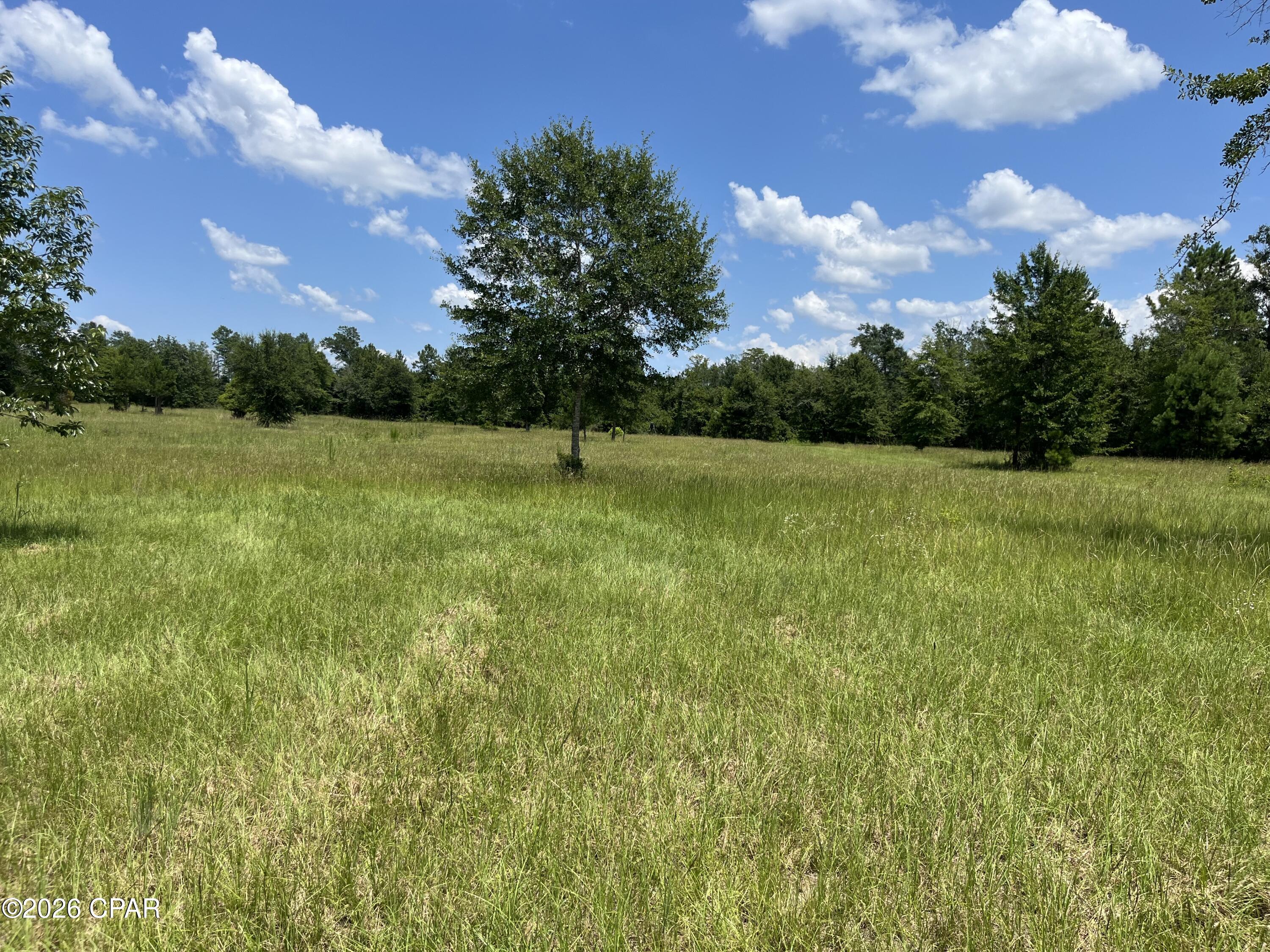 property viewer photo 12