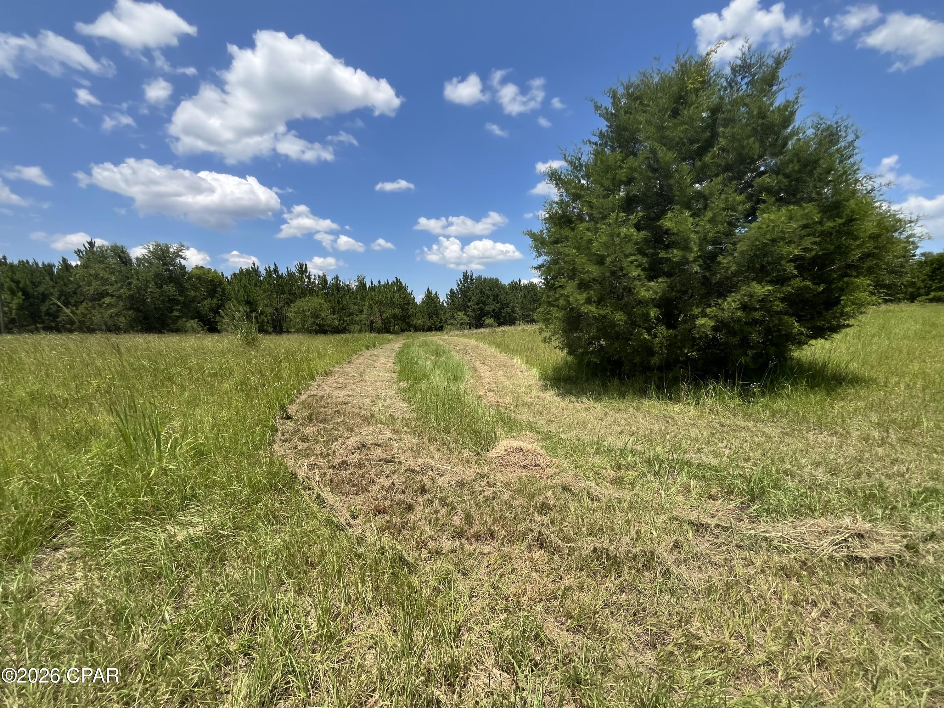 property viewer photo 13