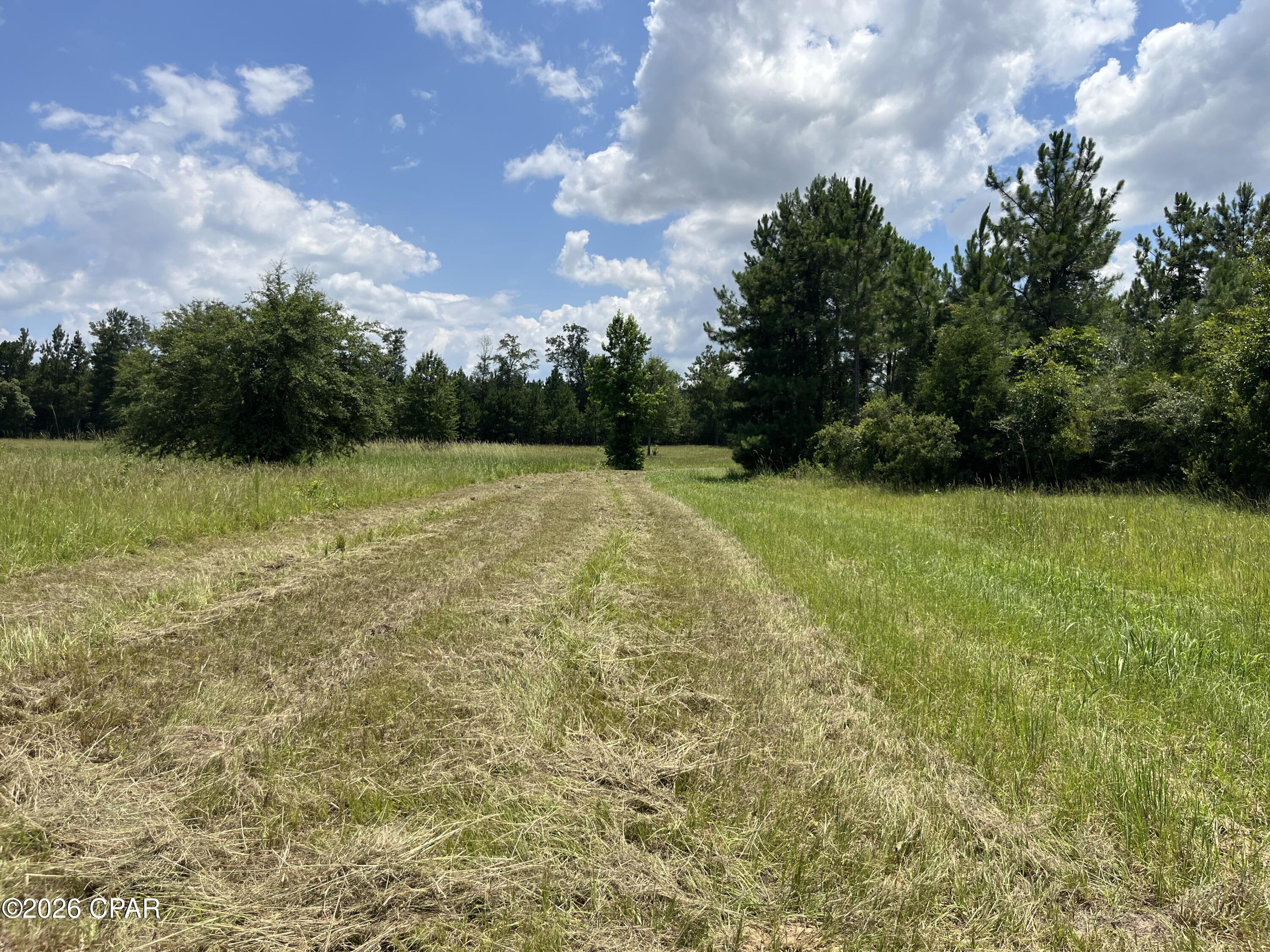 property viewer photo 14
