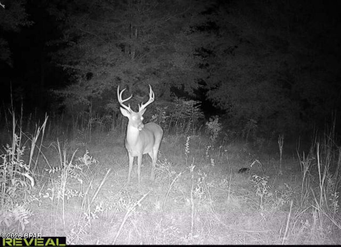 property viewer photo 5