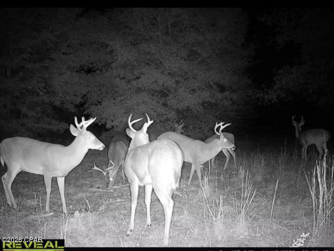 property viewer photo 6
