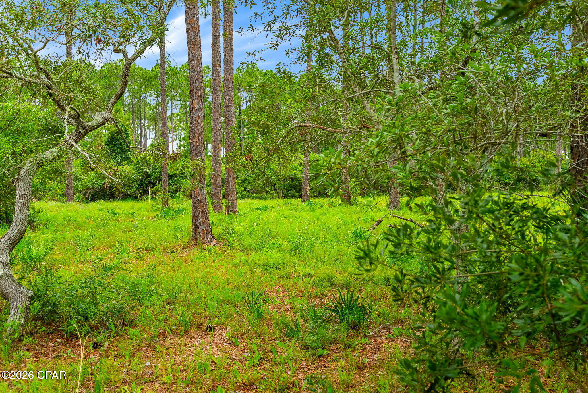 main property photo 107