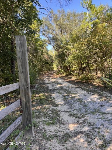 main property photo 32