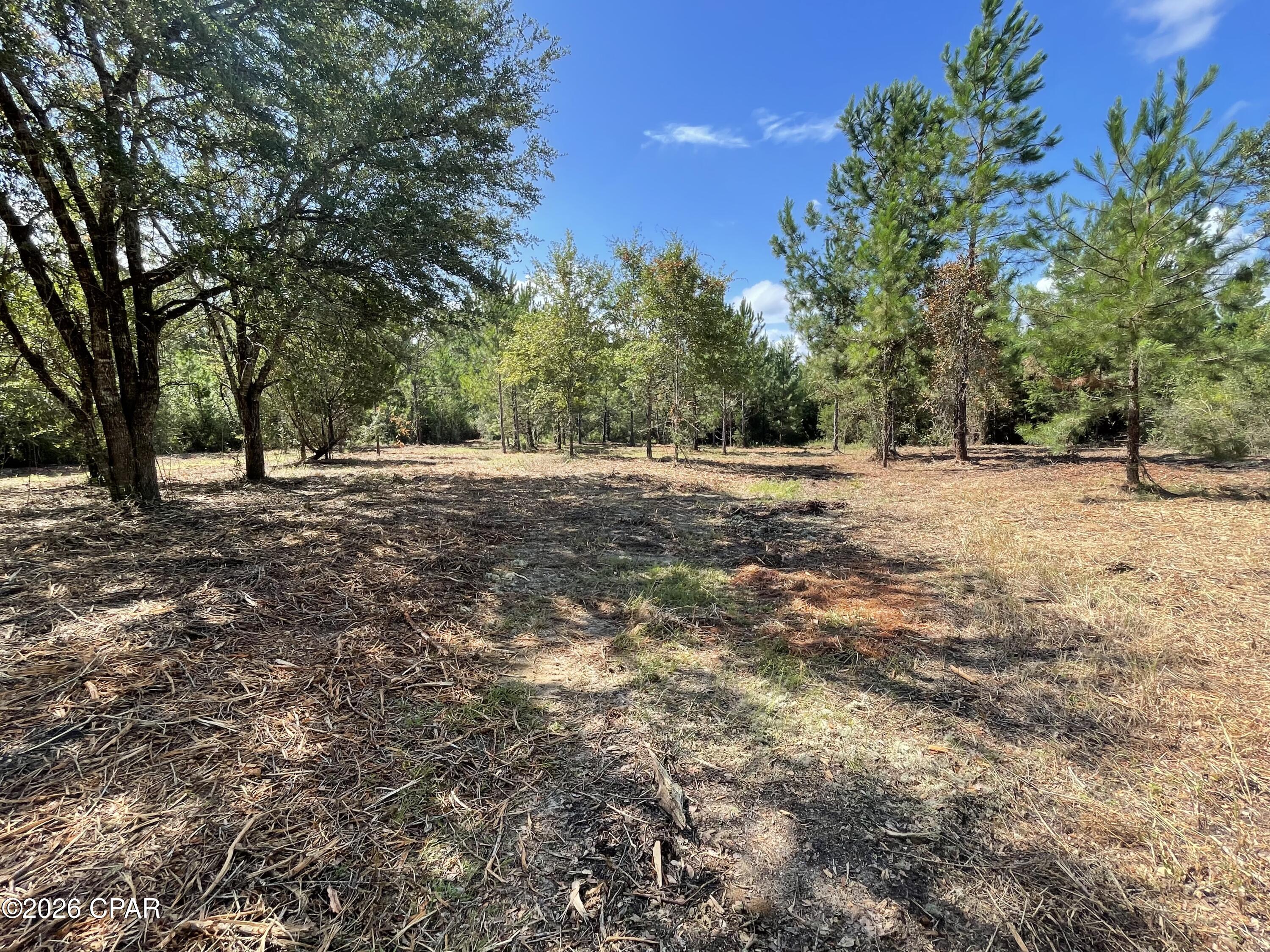 main property photo 12