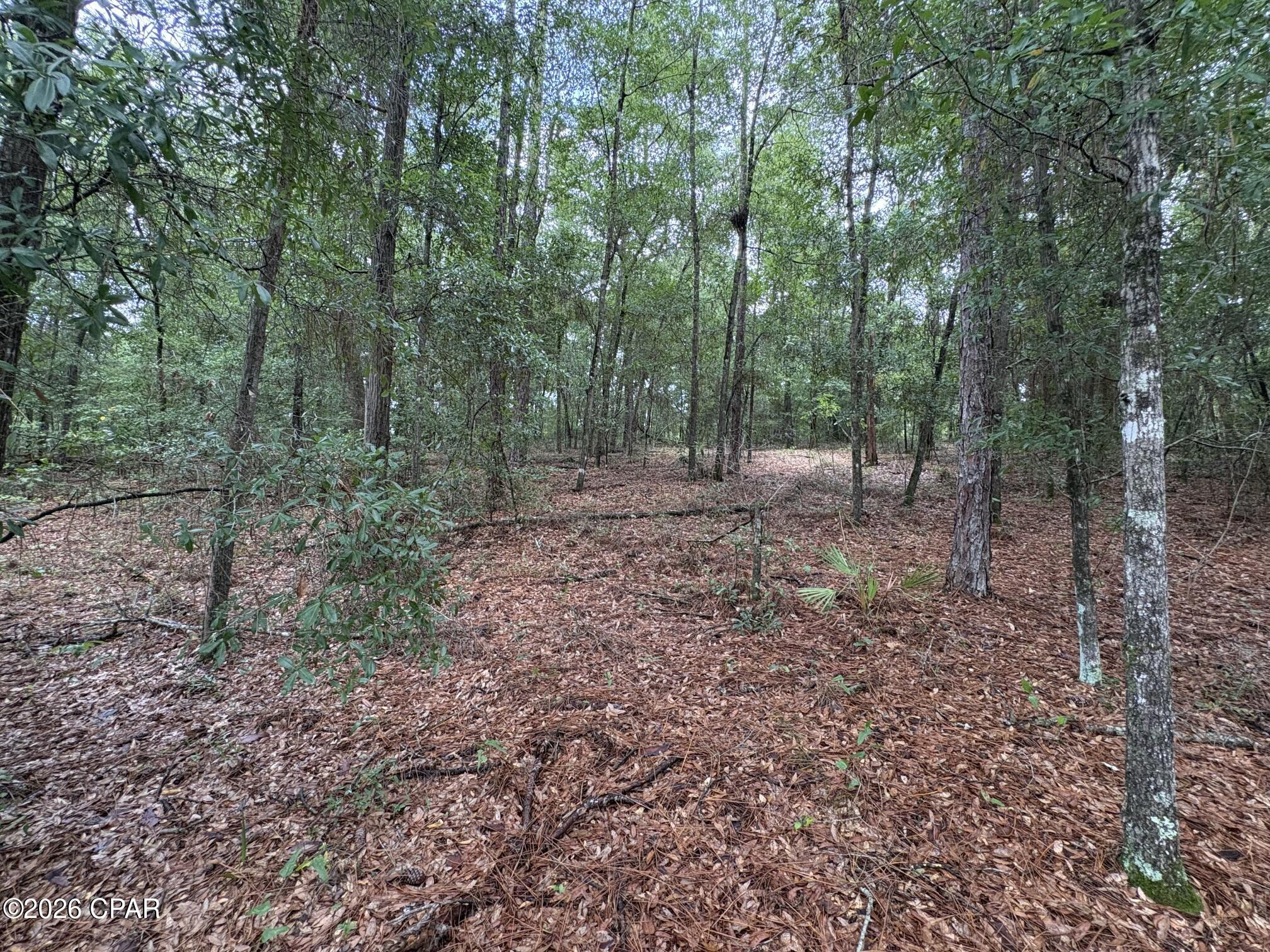 main property photo 10