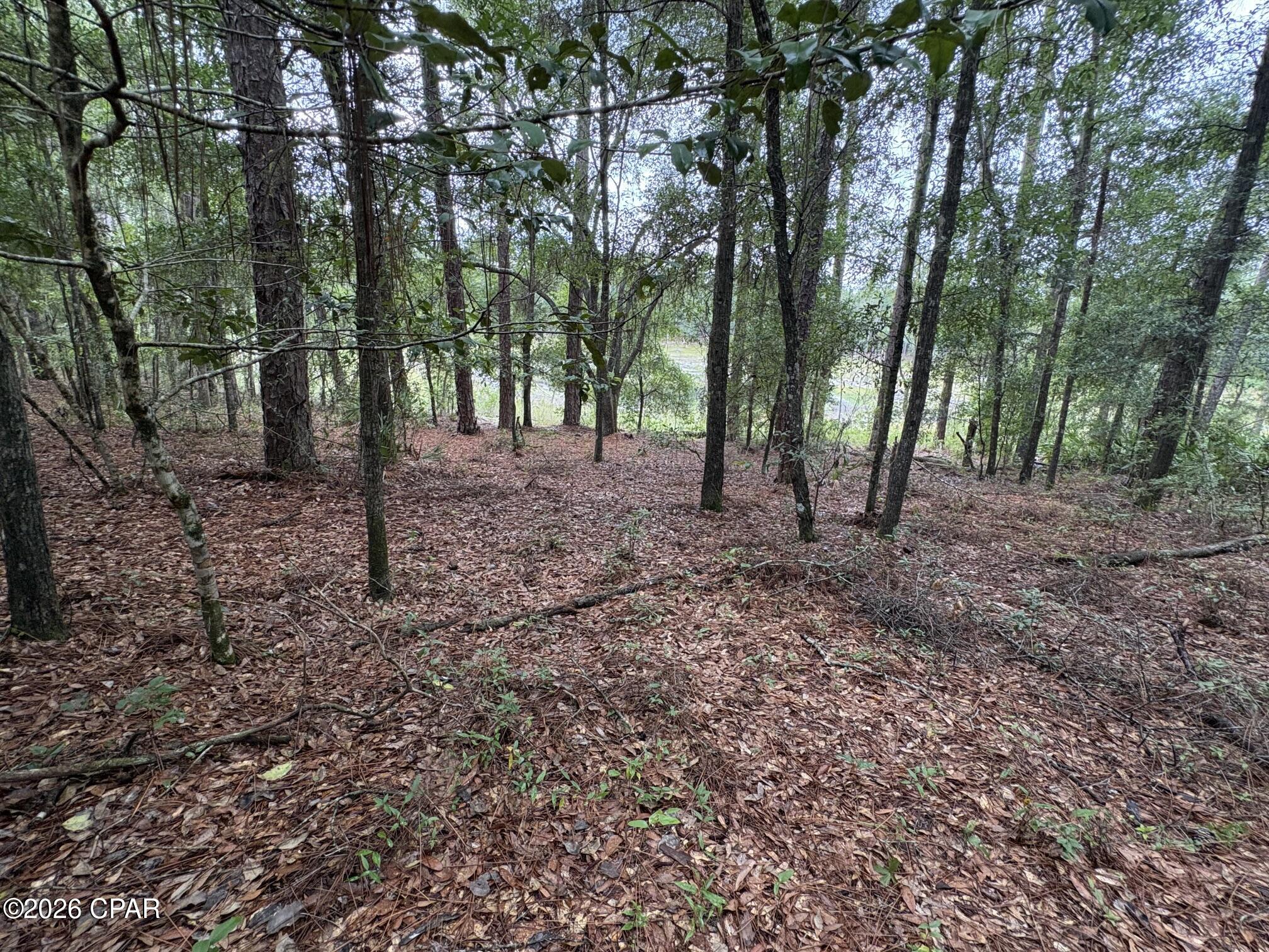 main property photo 11