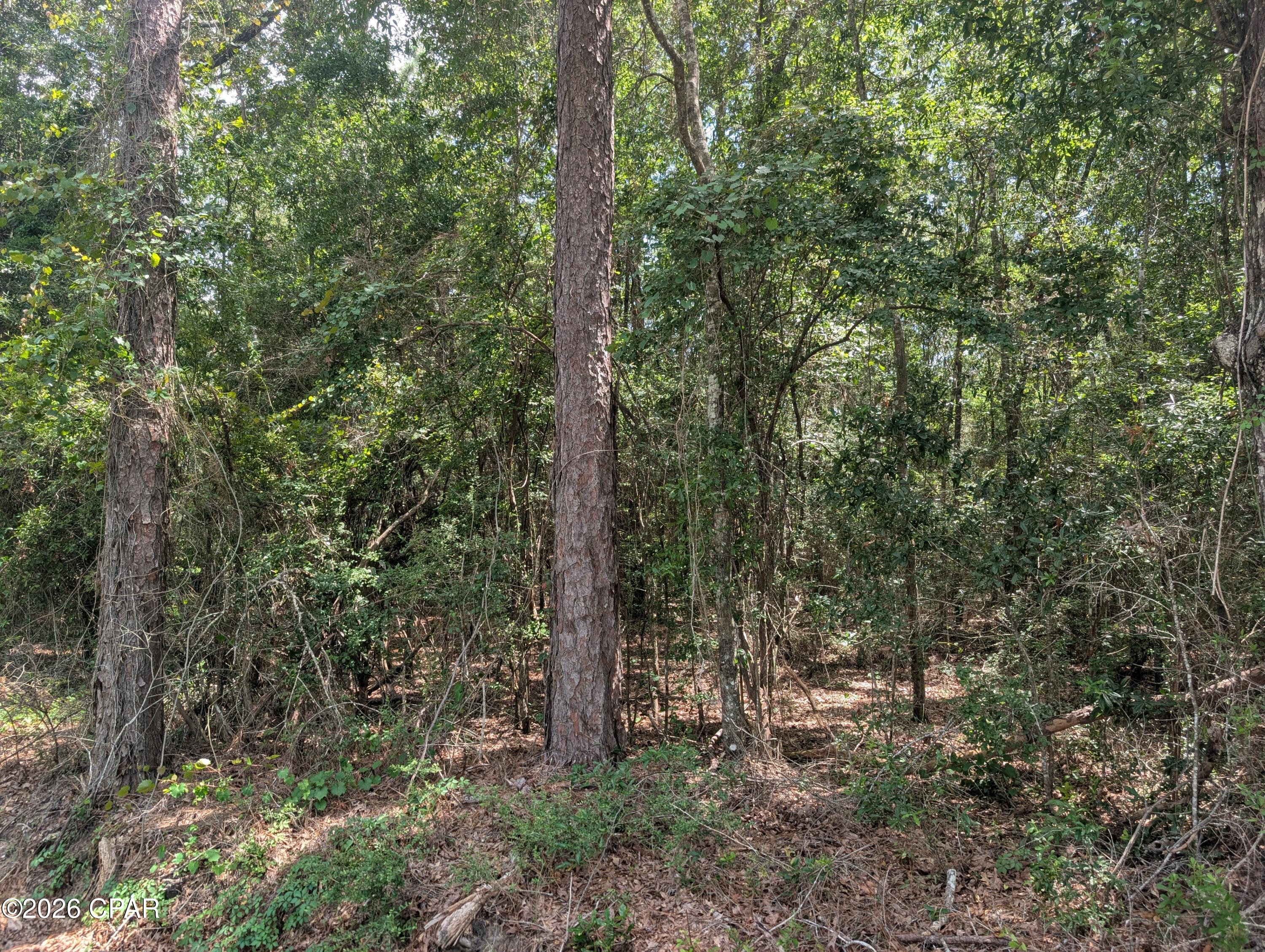 main property photo 0