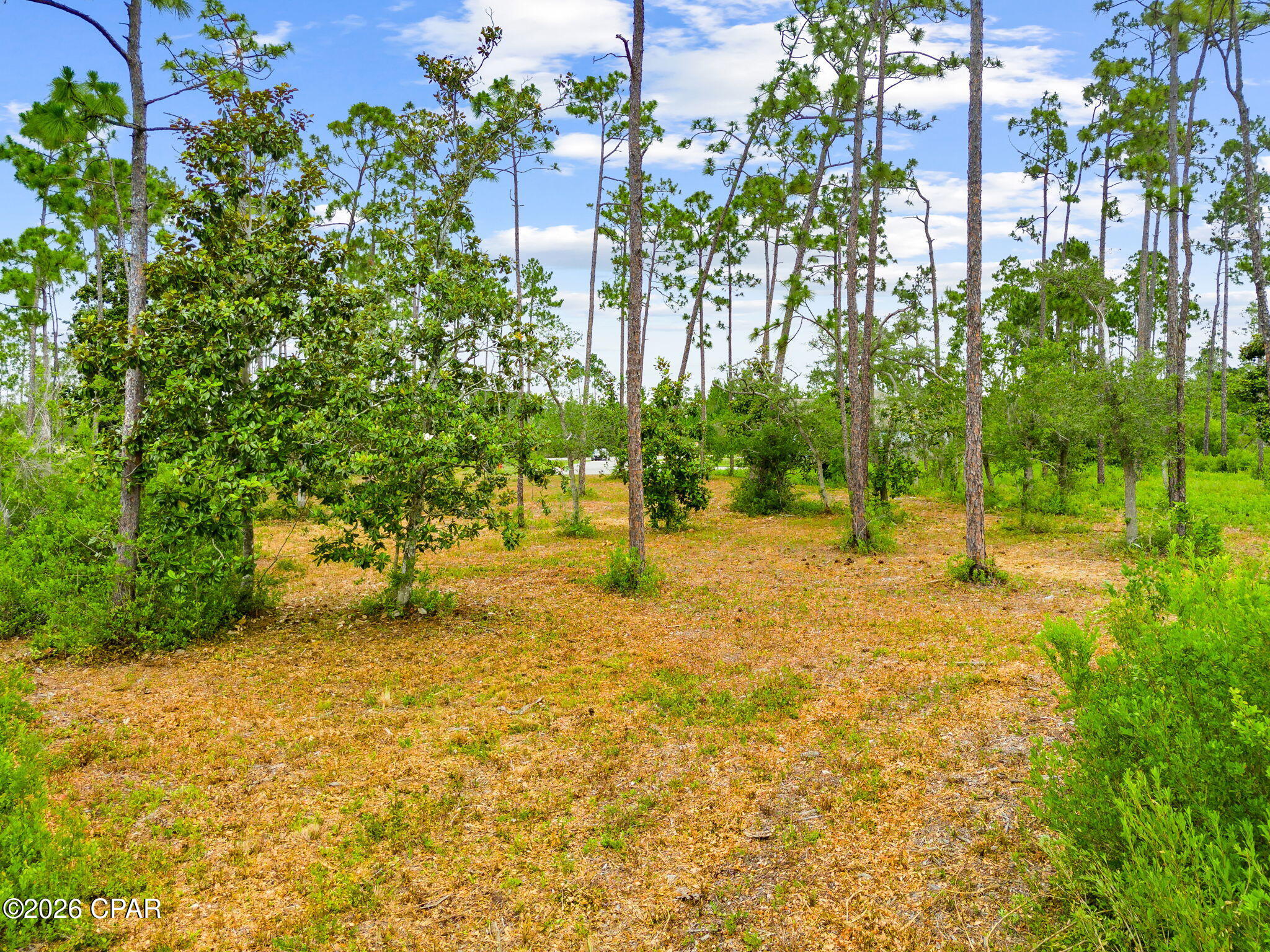 main property photo 23