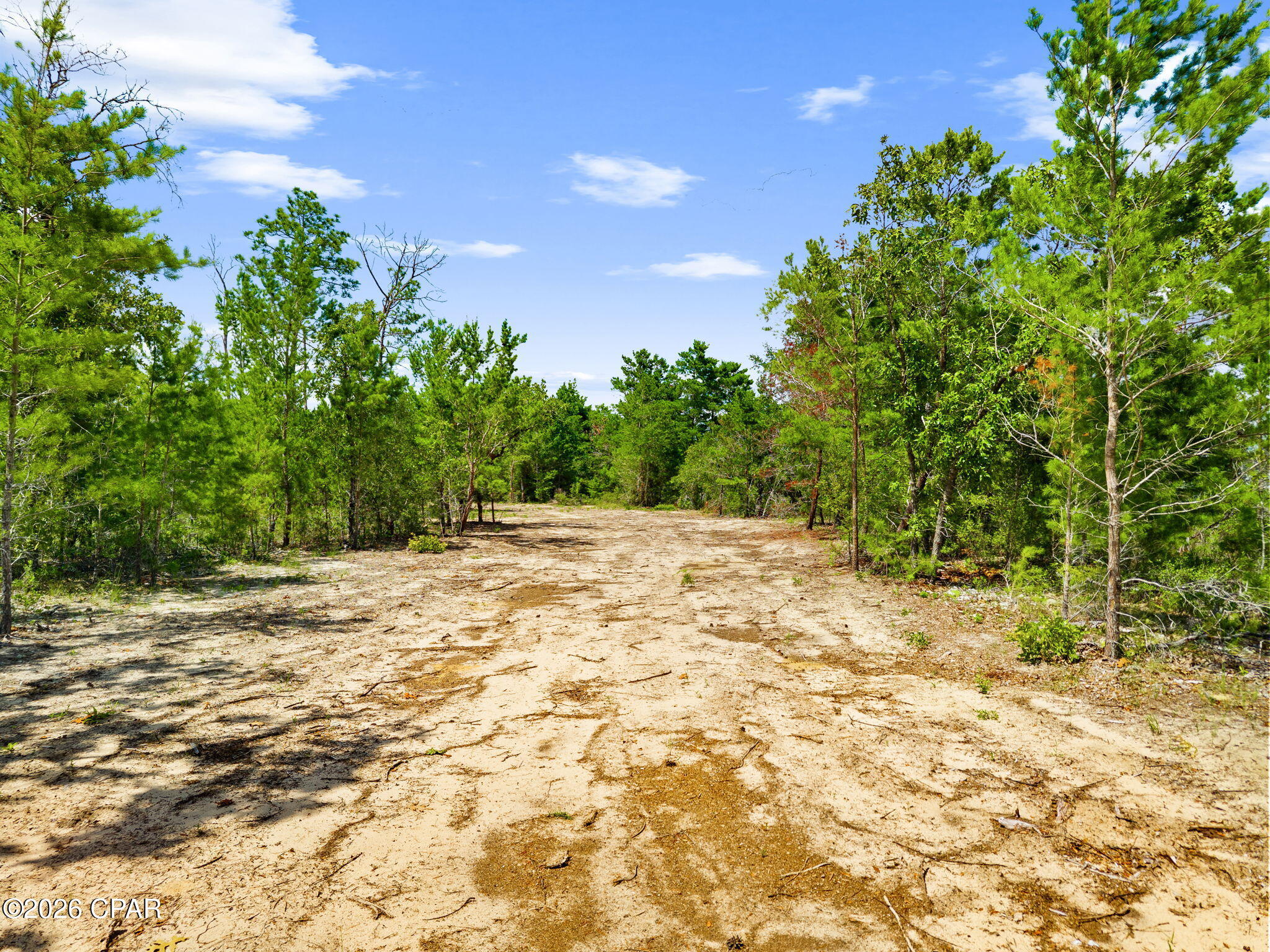main property photo 69