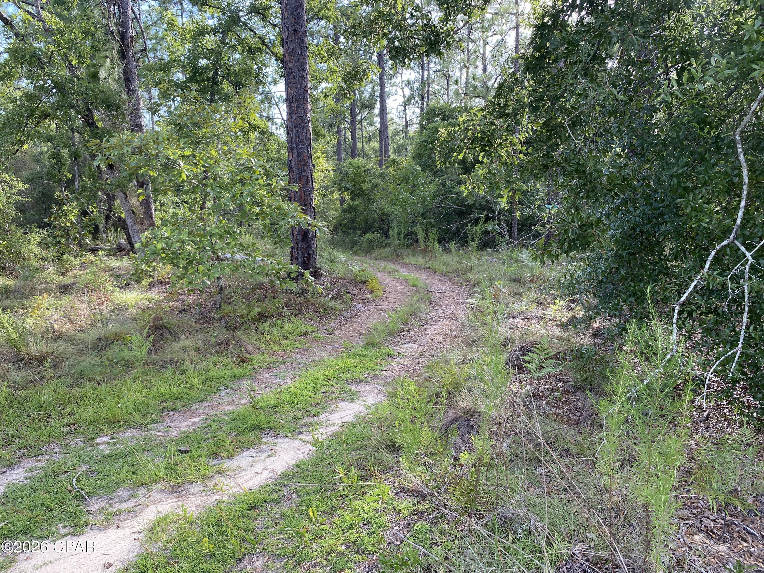 main property photo 0