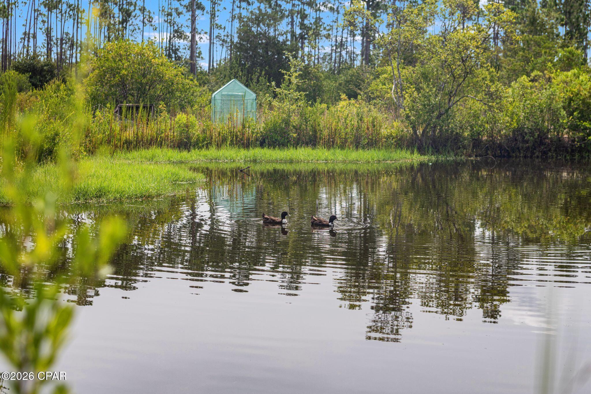 main property photo 49