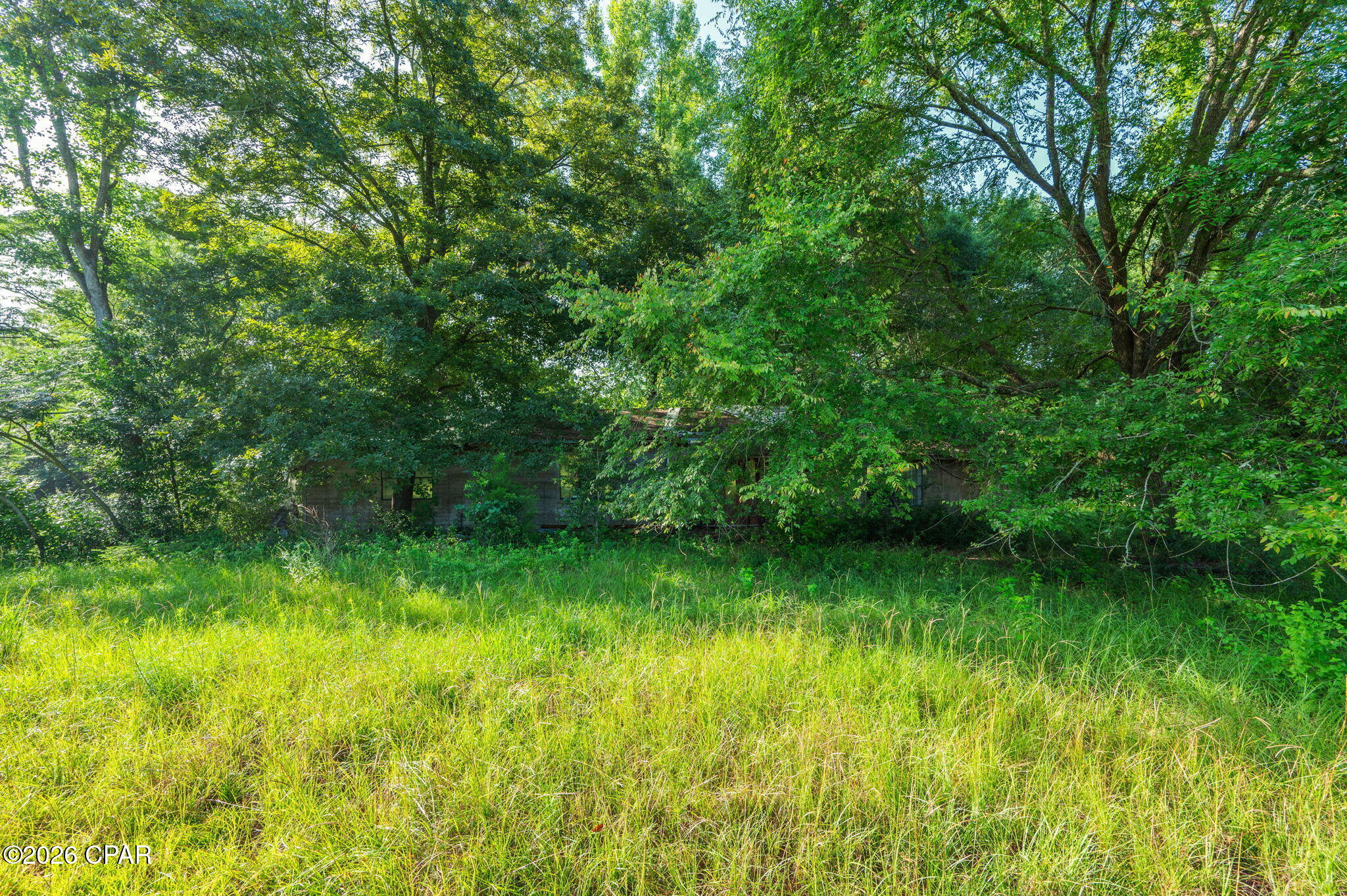 main property photo 22