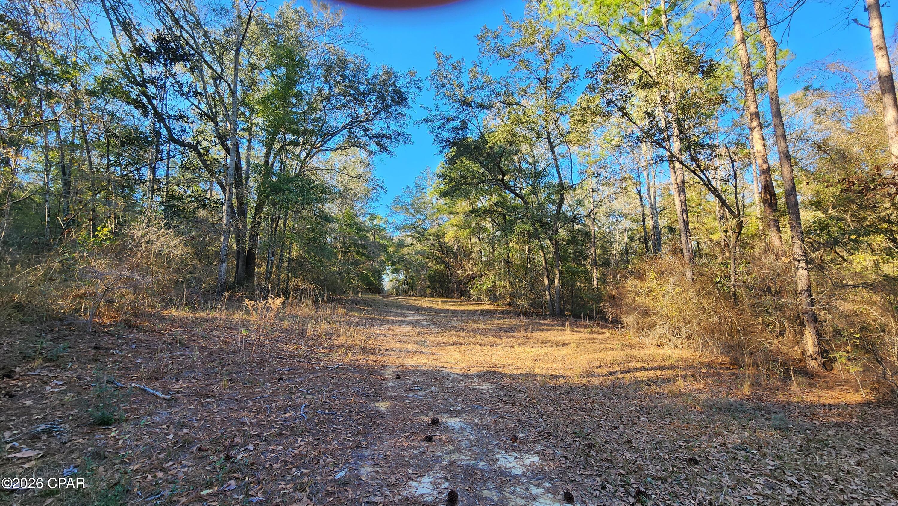 main property photo 0