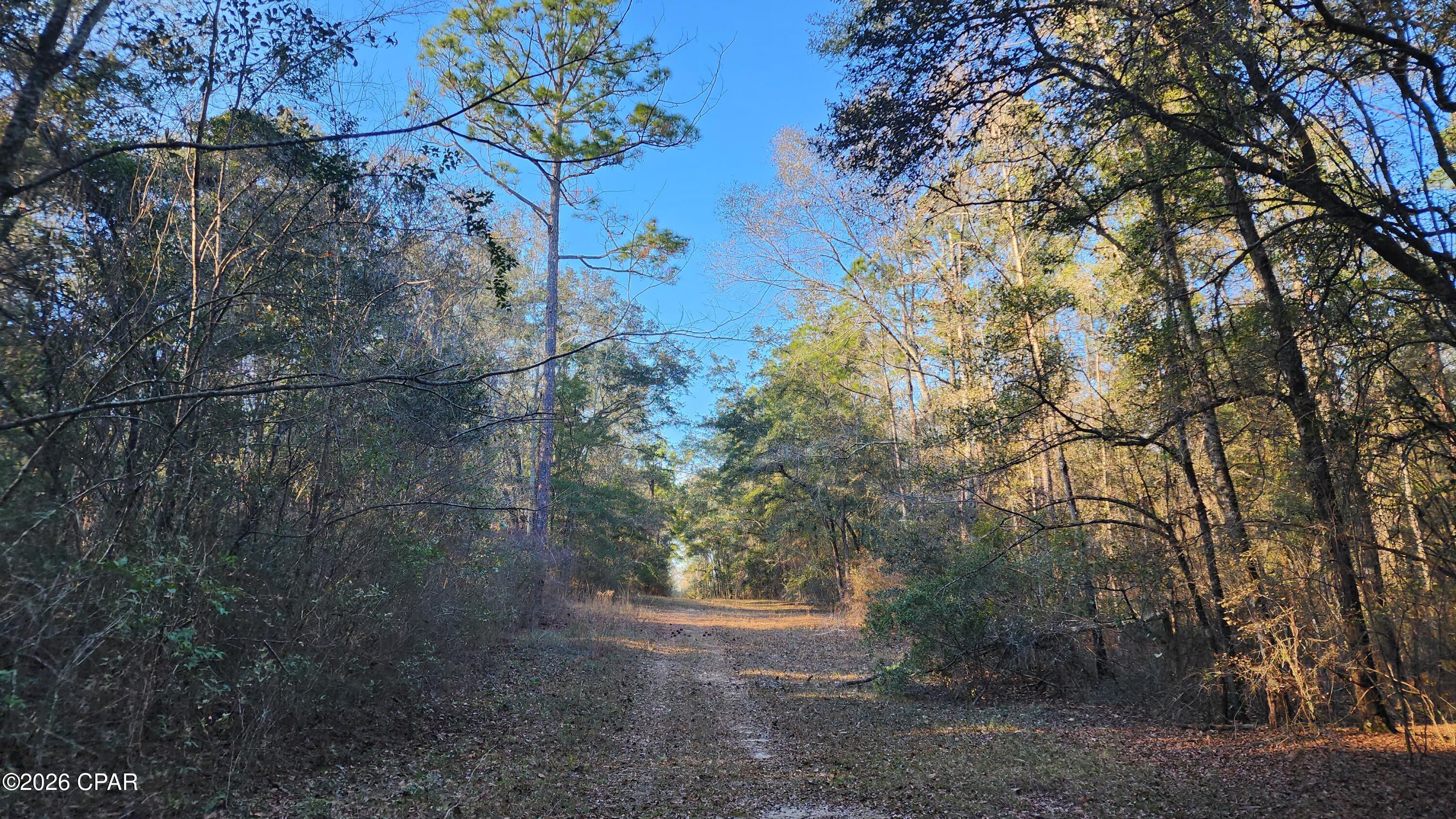 main property photo 11