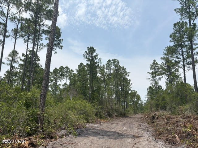 main property photo 5