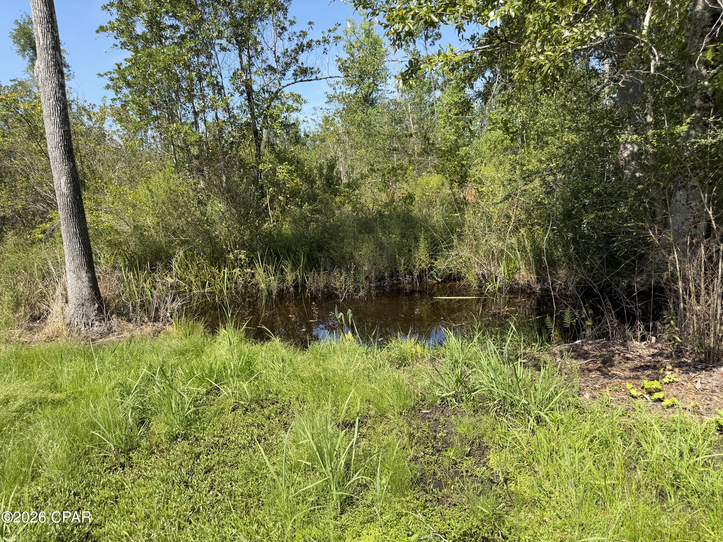 main property photo 45