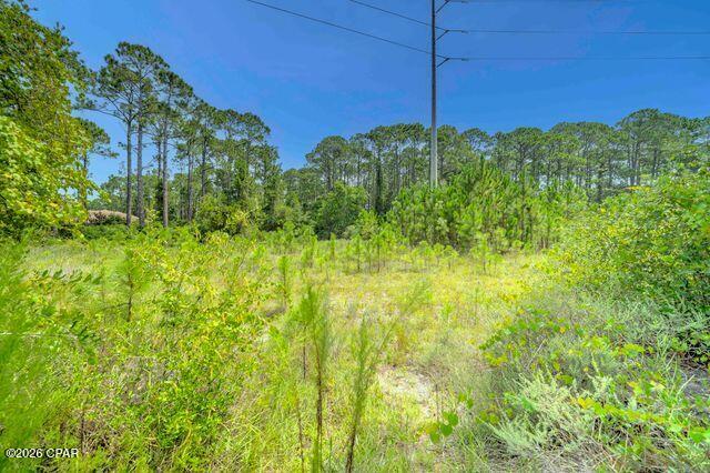 main property photo 50