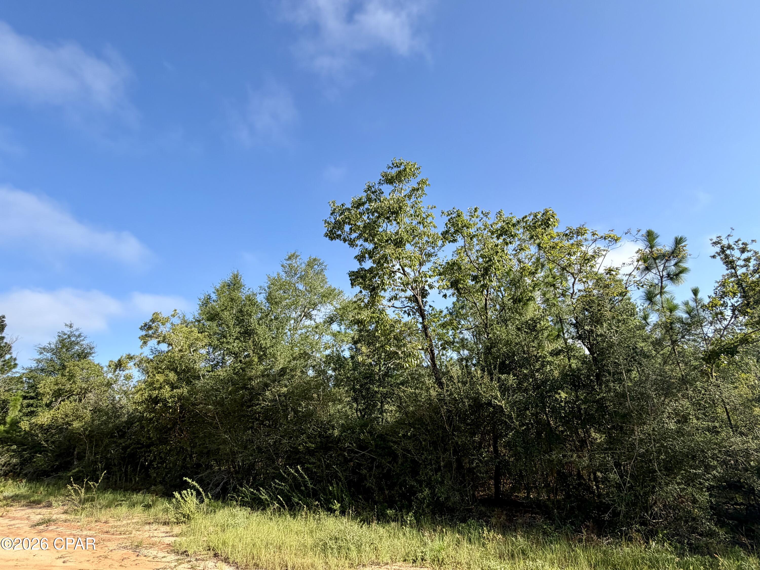 main property photo 0
