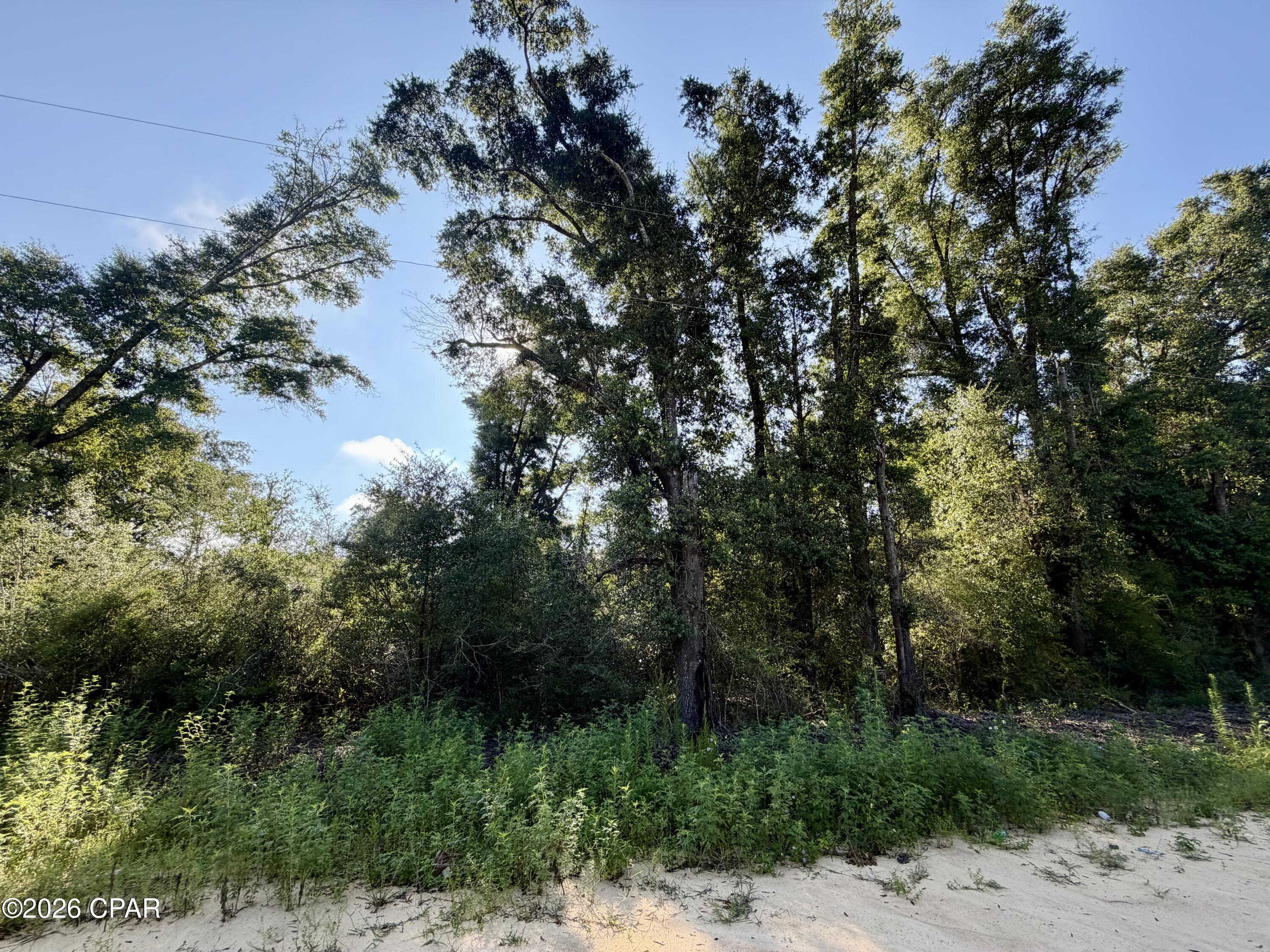 main property photo 0
