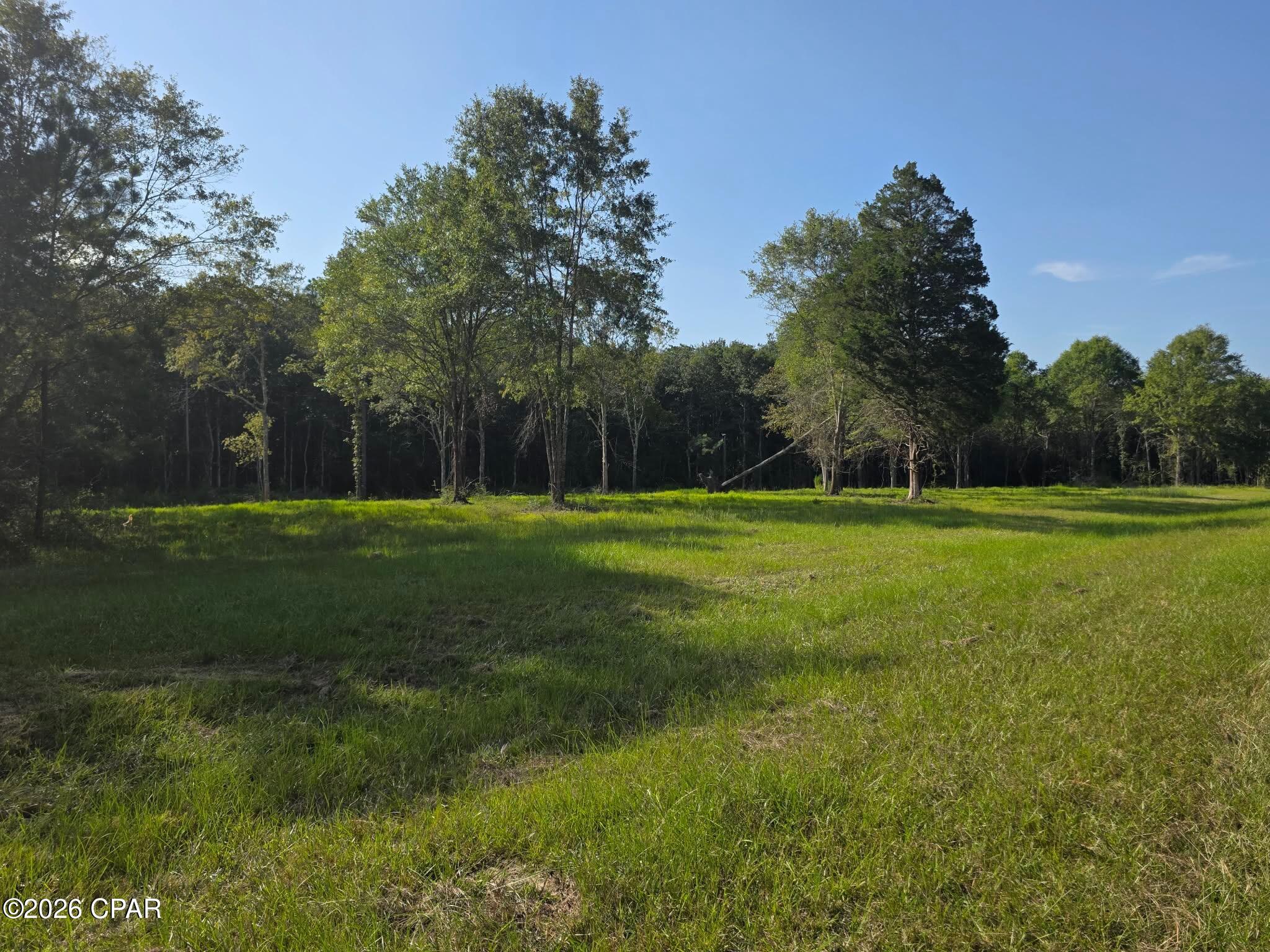 main property photo 0