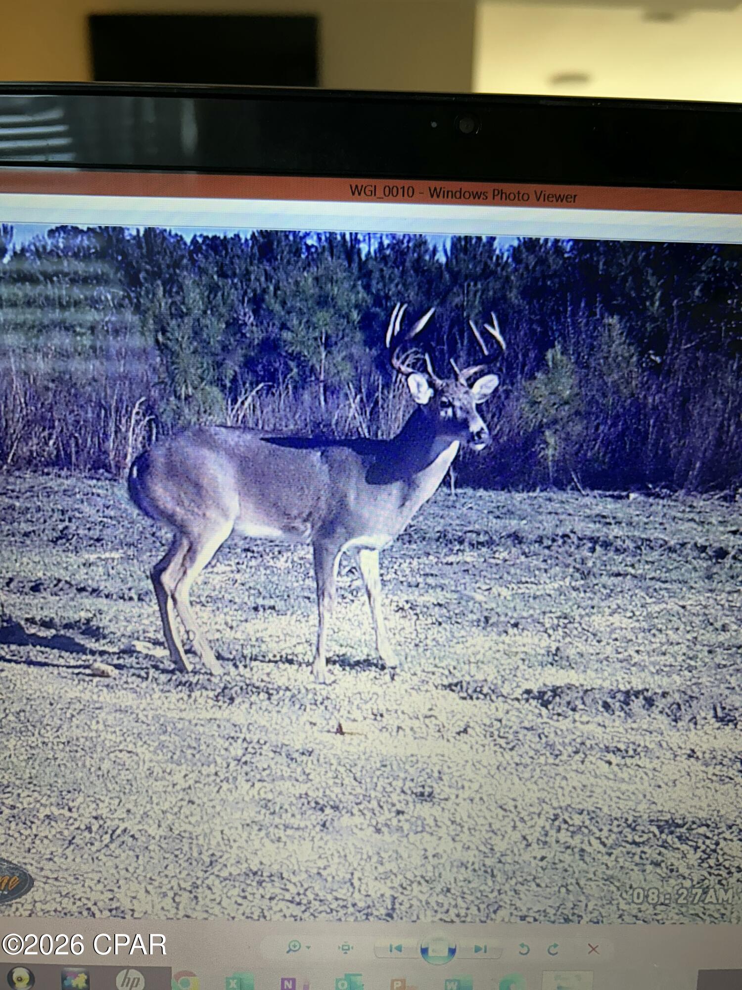 main property photo 12