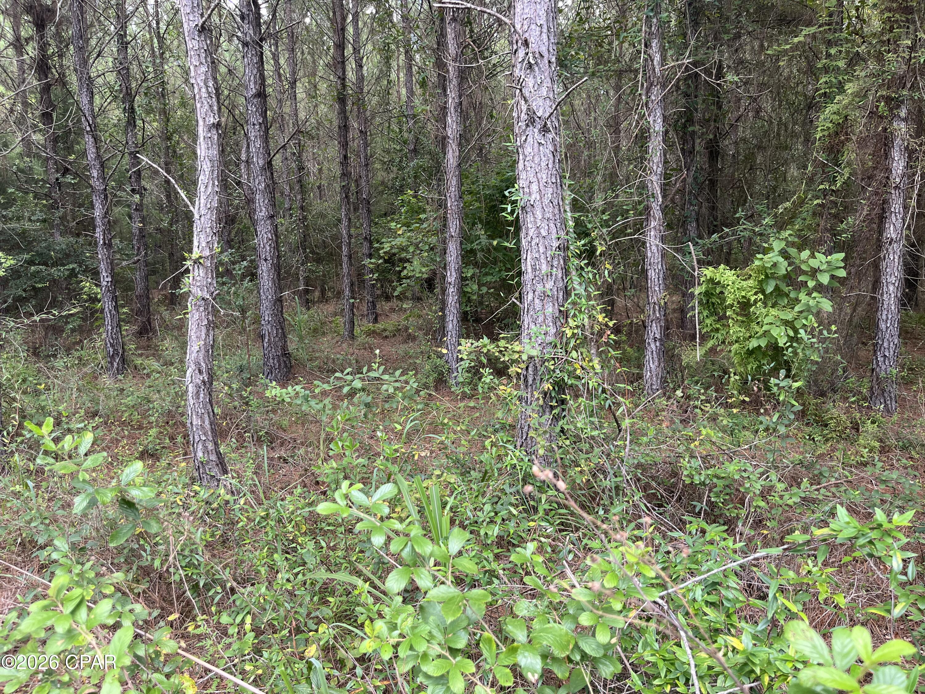 main property photo 18