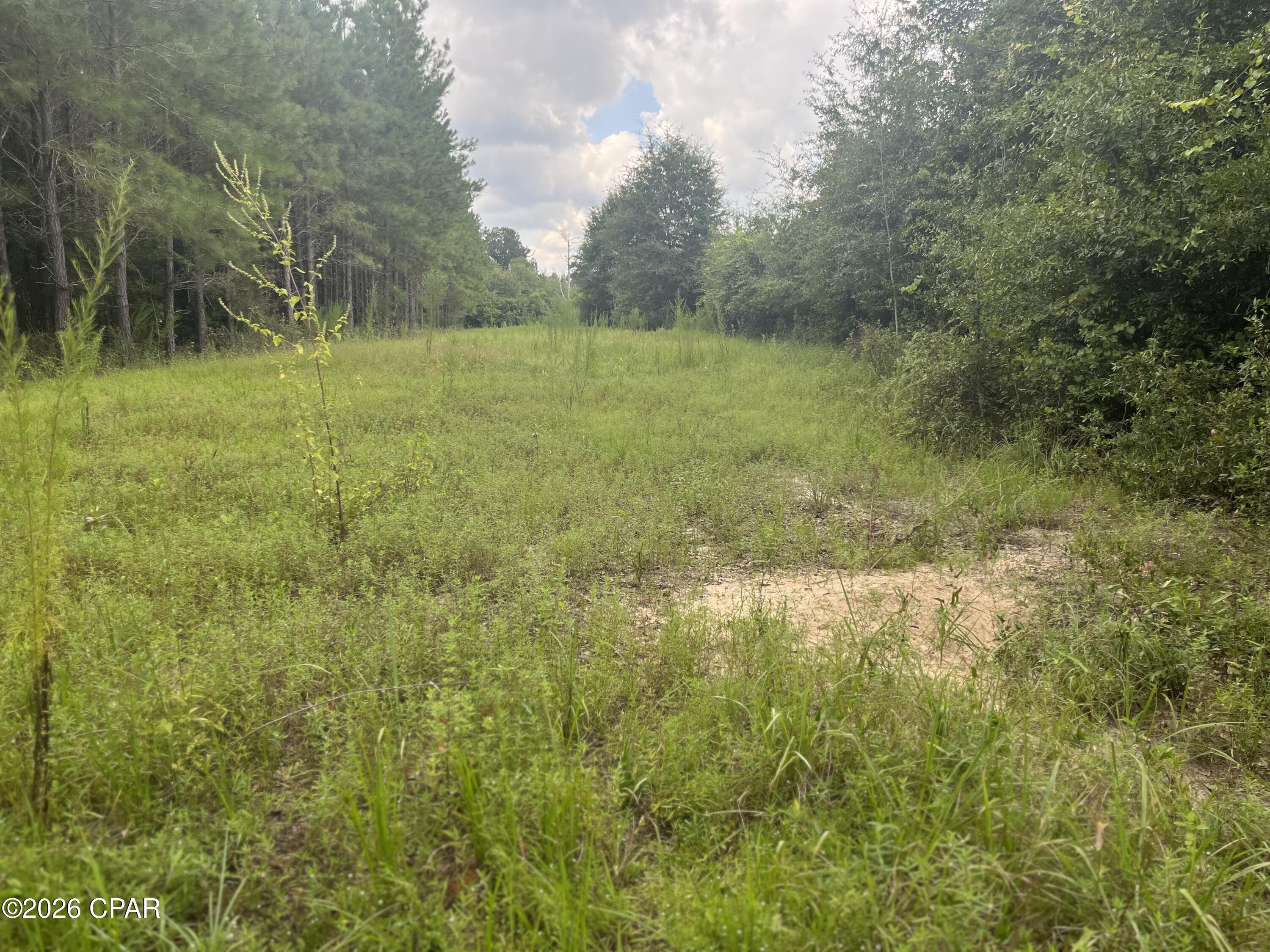 main property photo 19