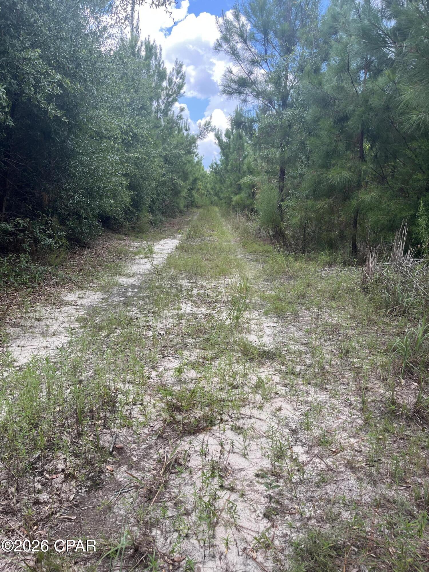 main property photo 20
