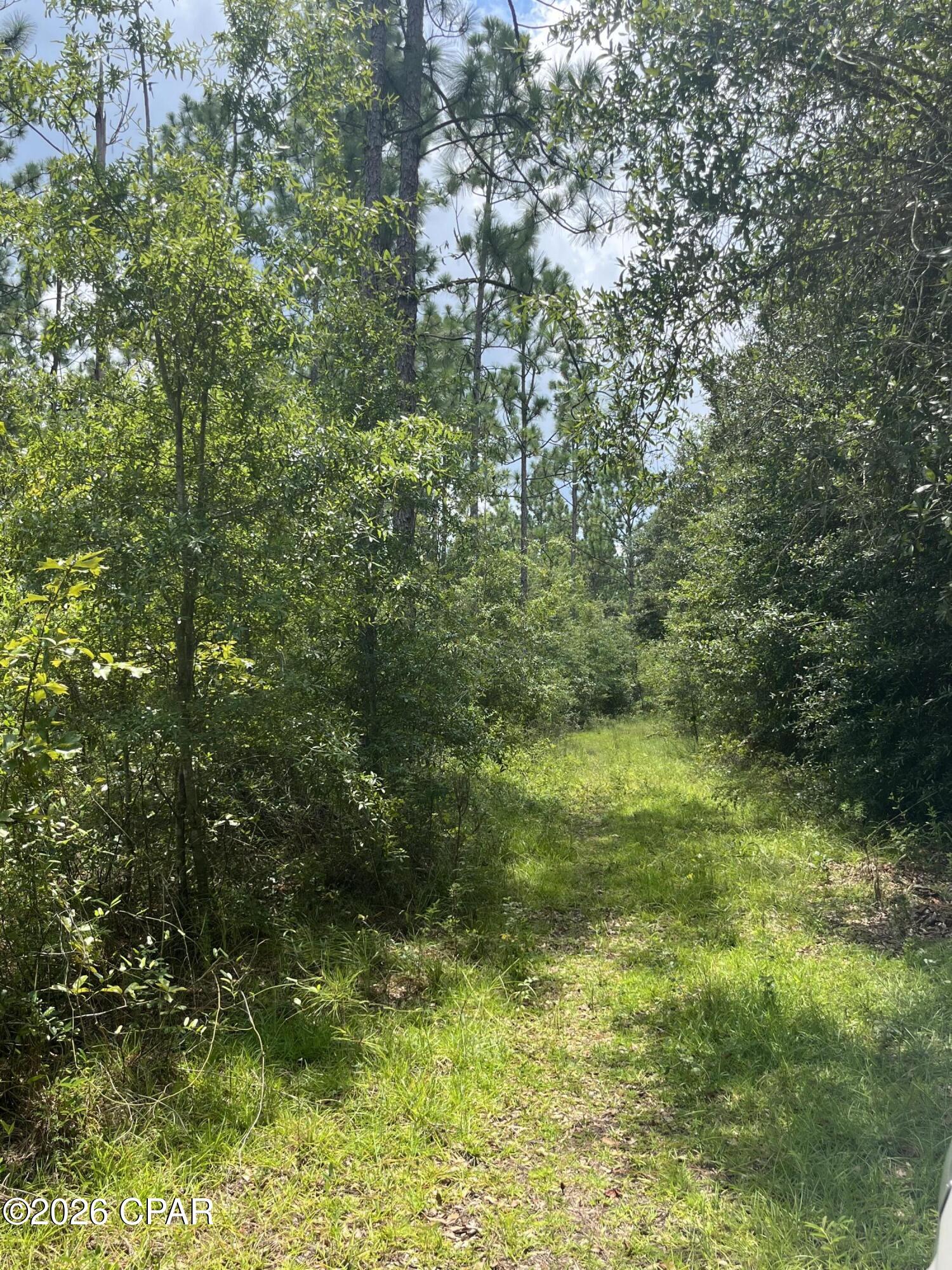 main property photo 15