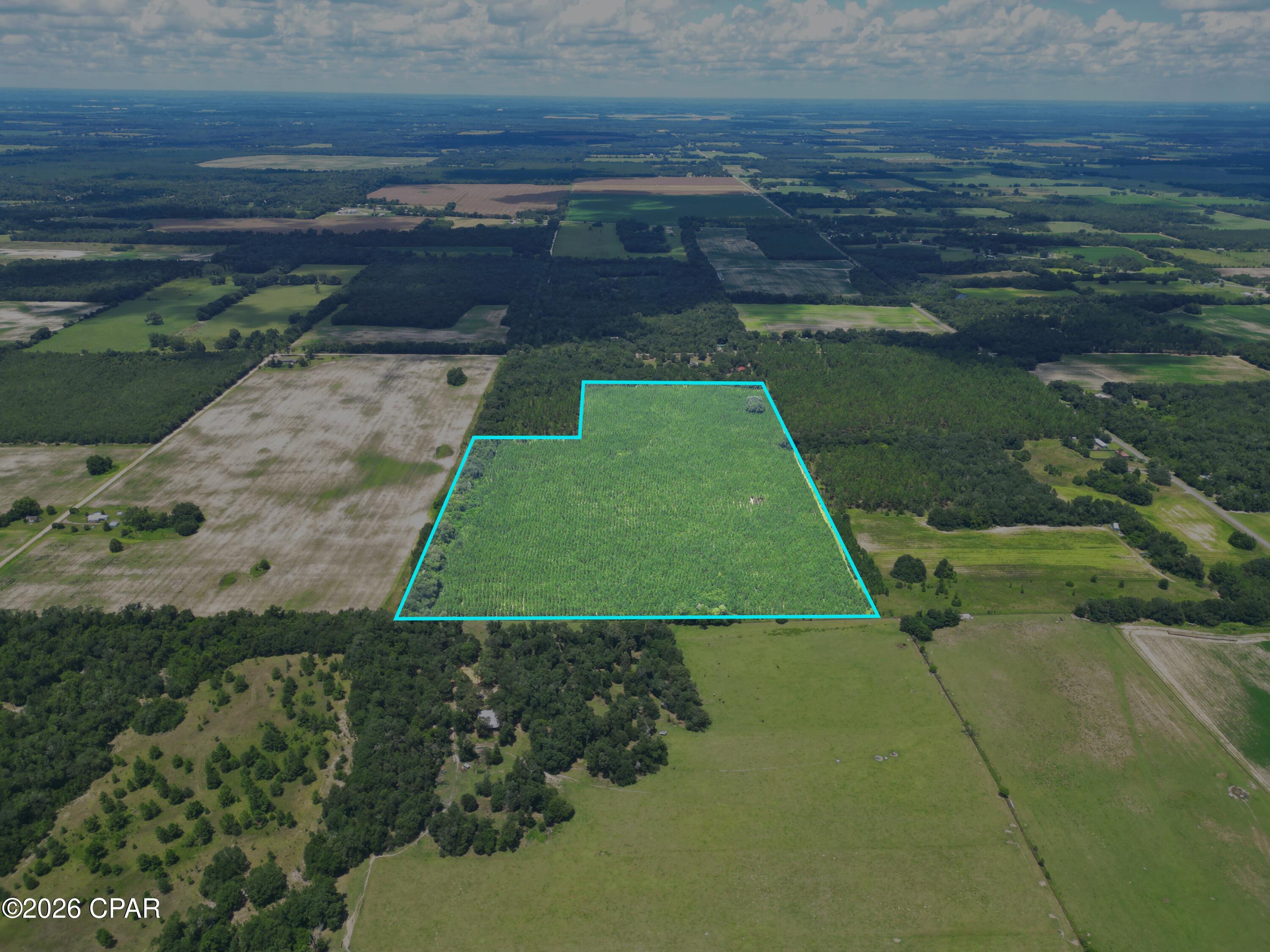 main property photo 17