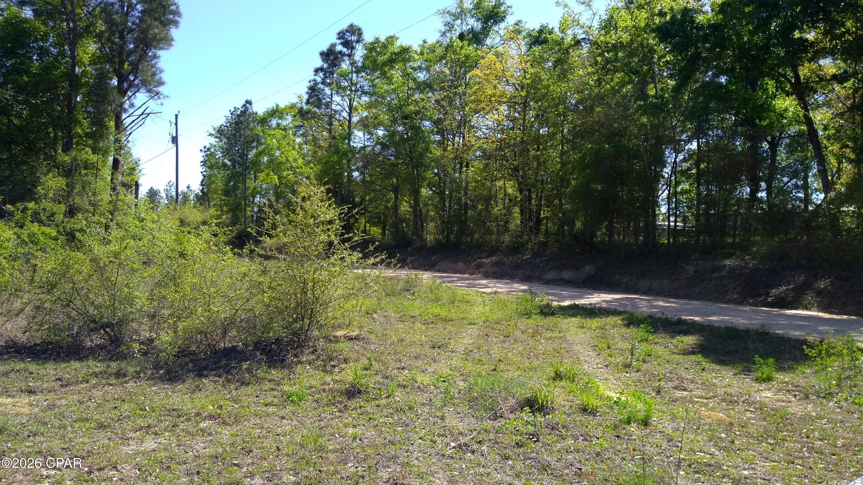 main property photo 4