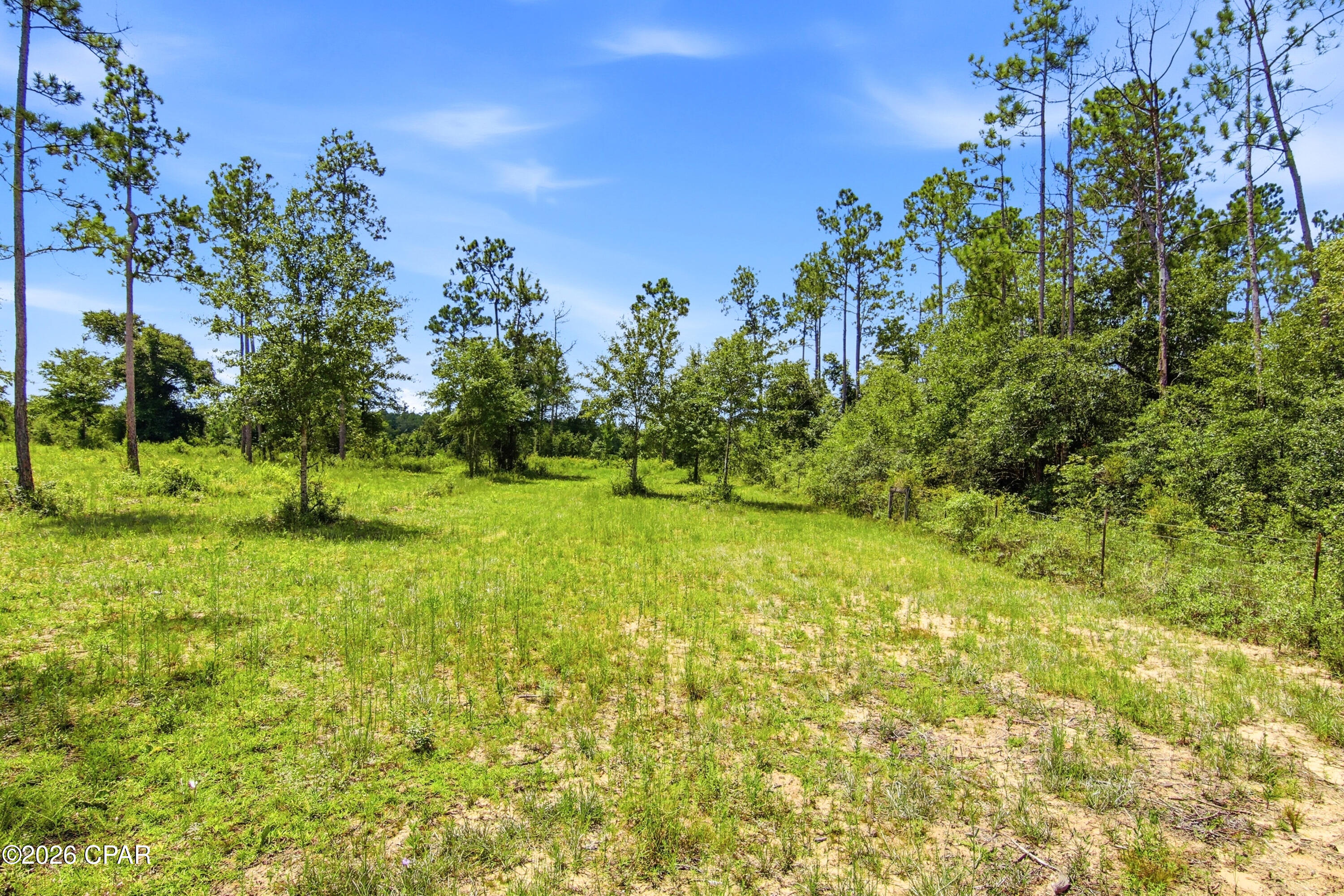 main property photo 46