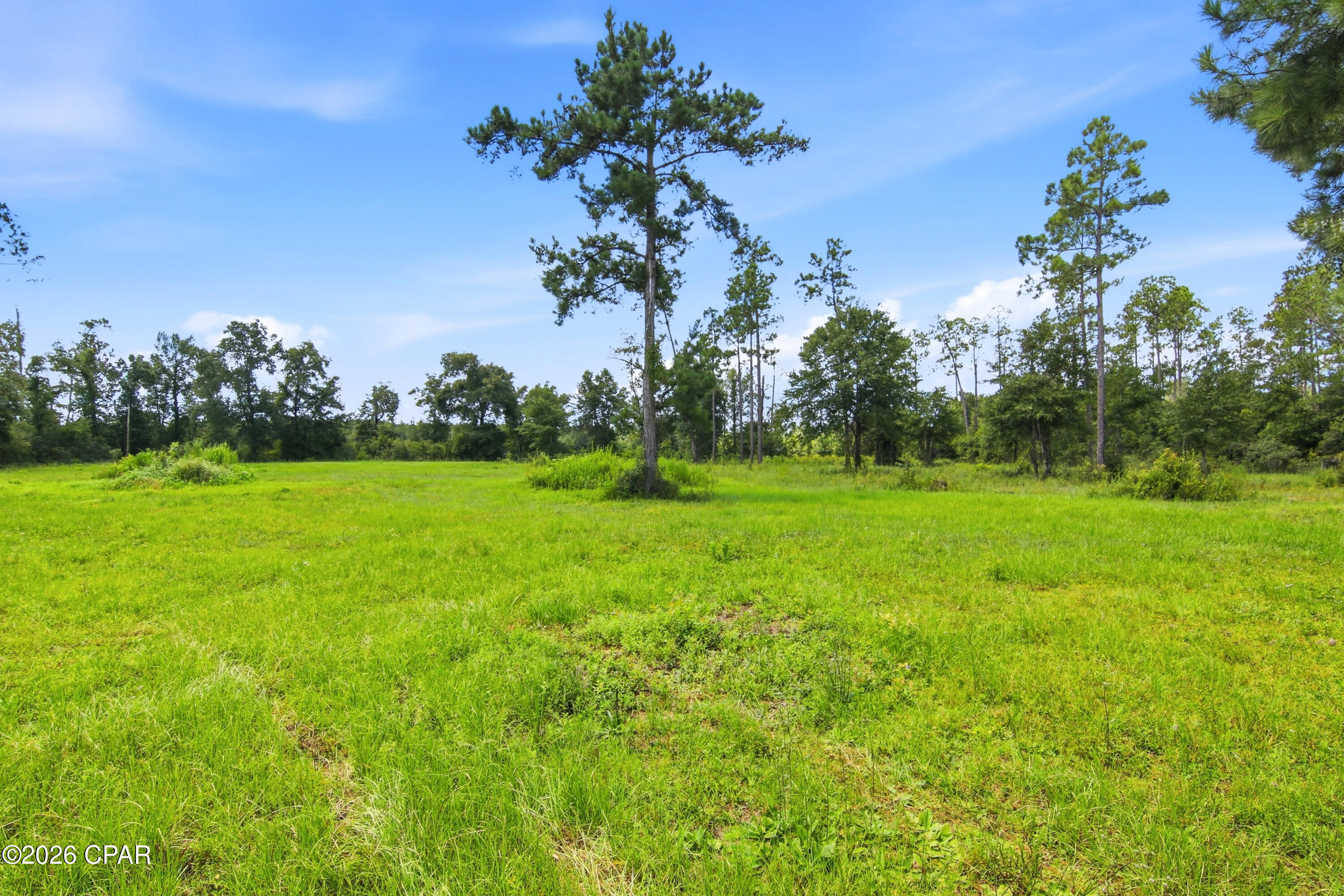 main property photo 48