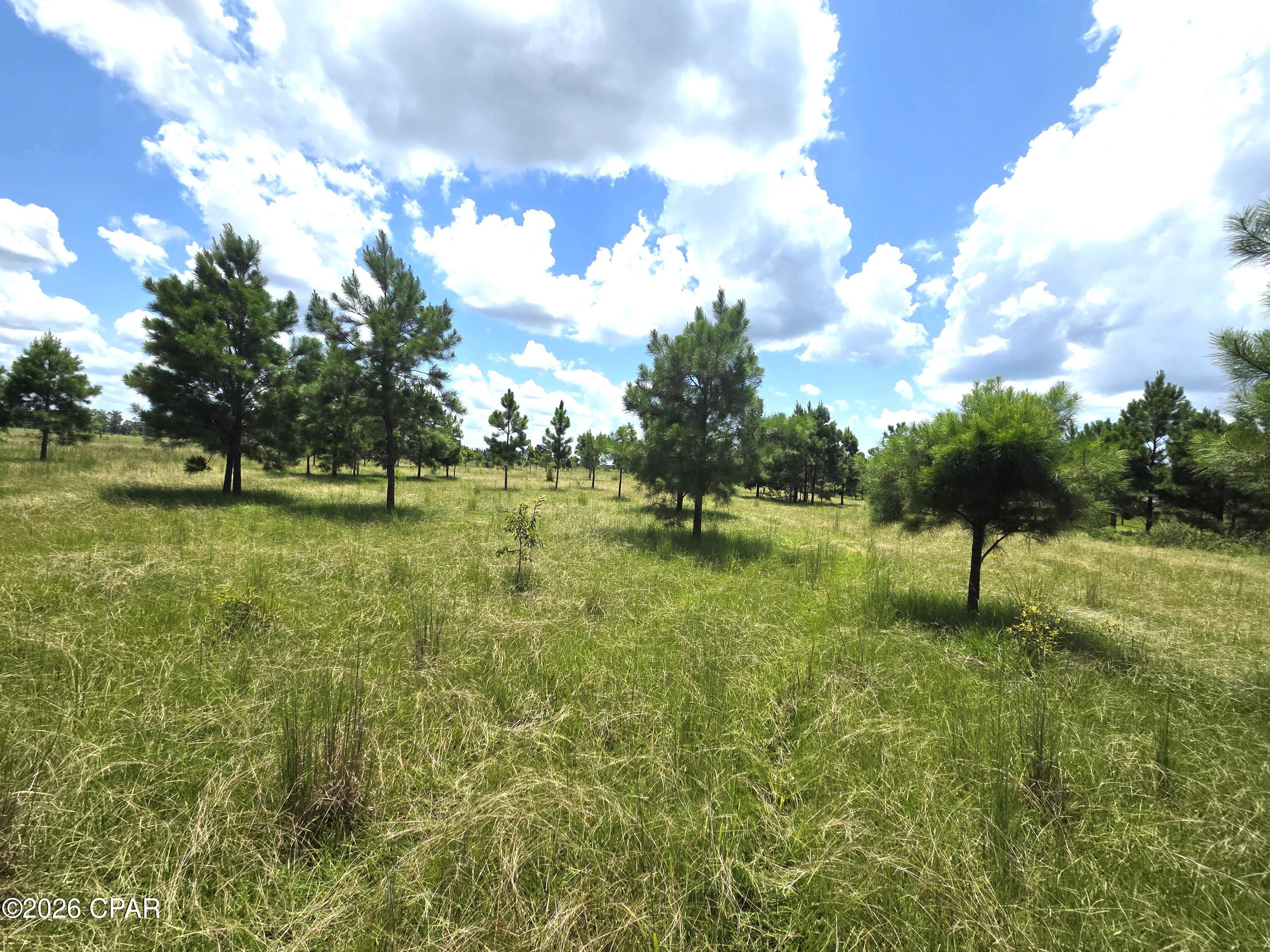 main property photo 25