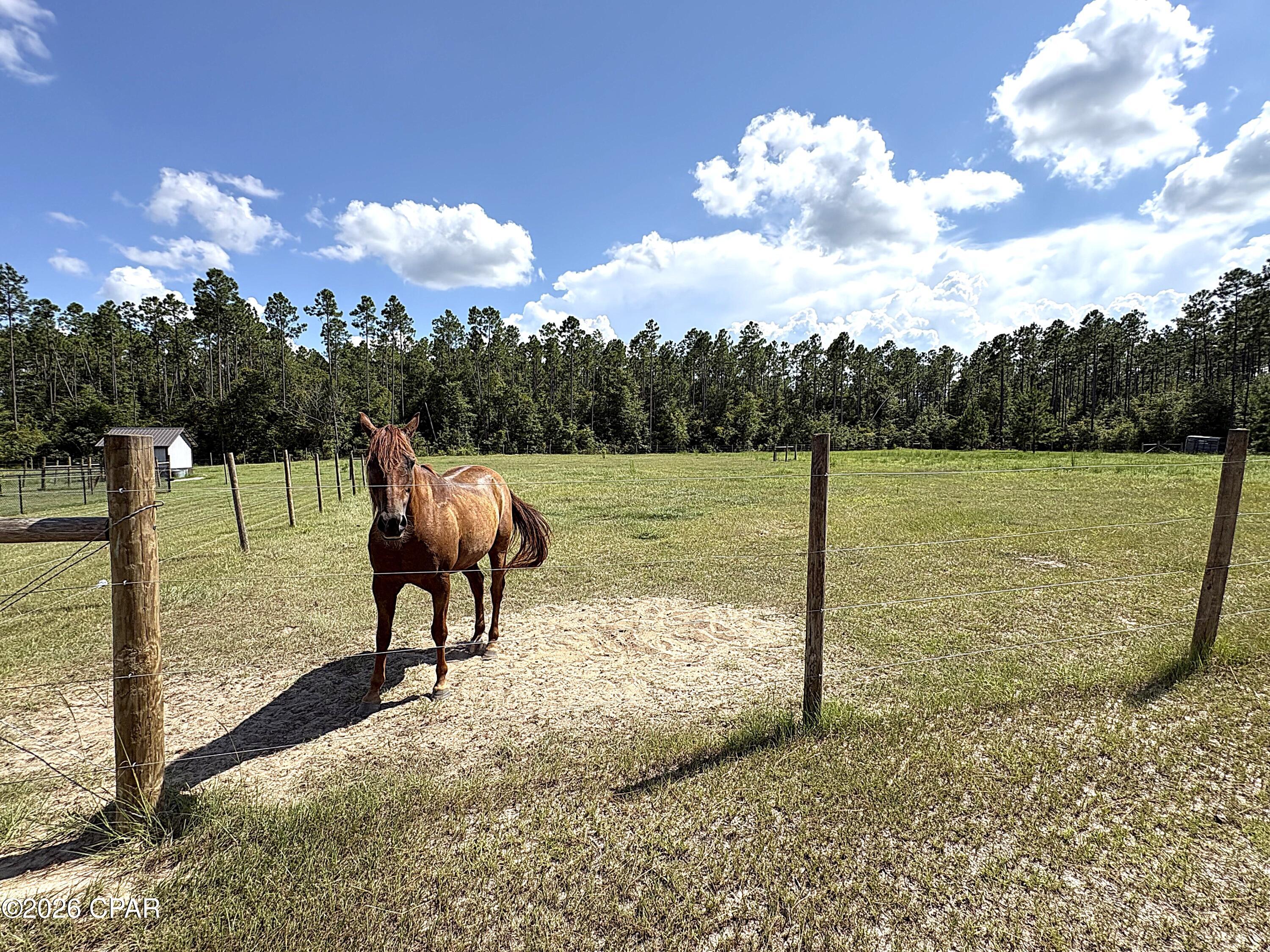 main property photo 66
