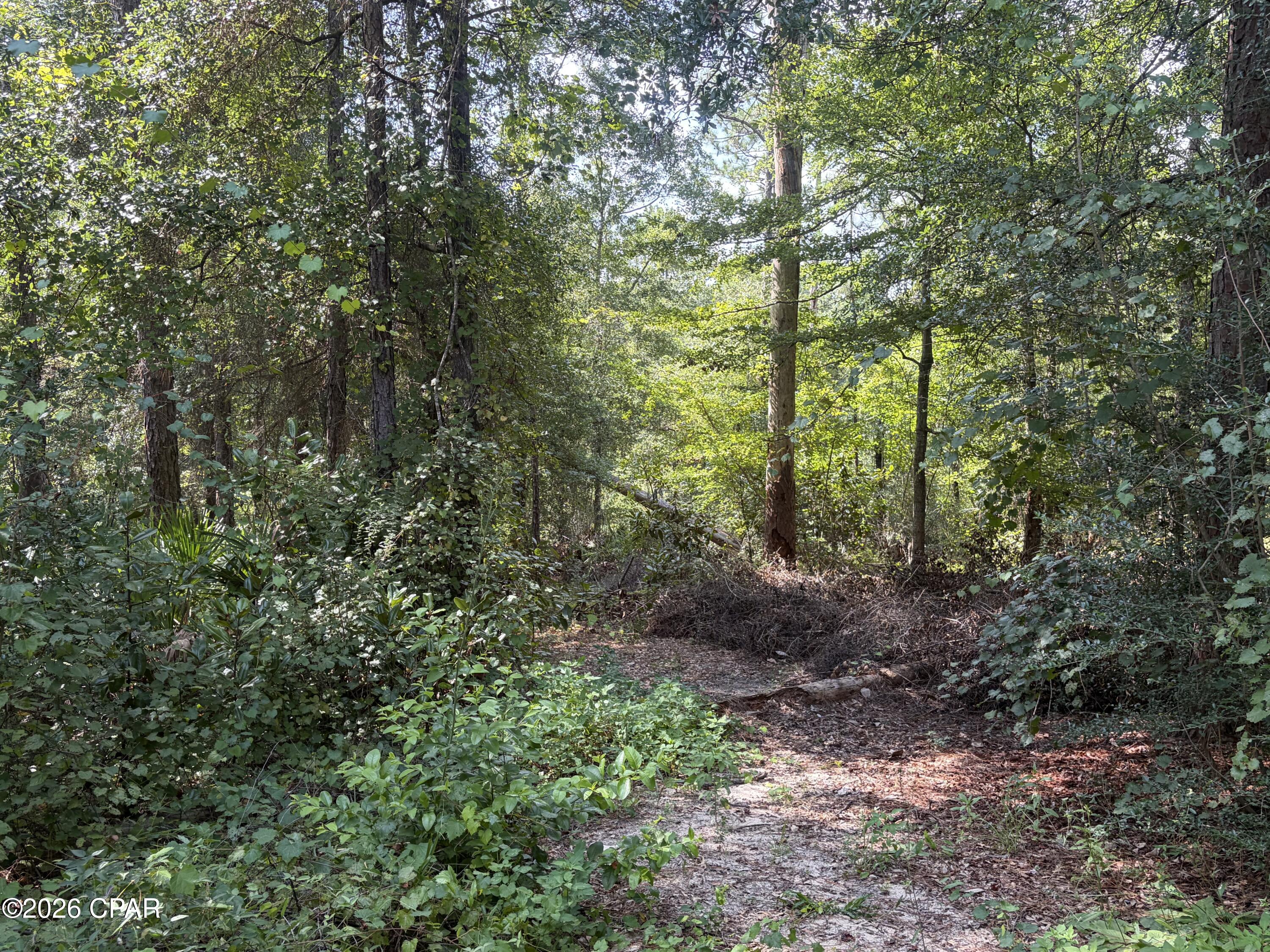 main property photo 27