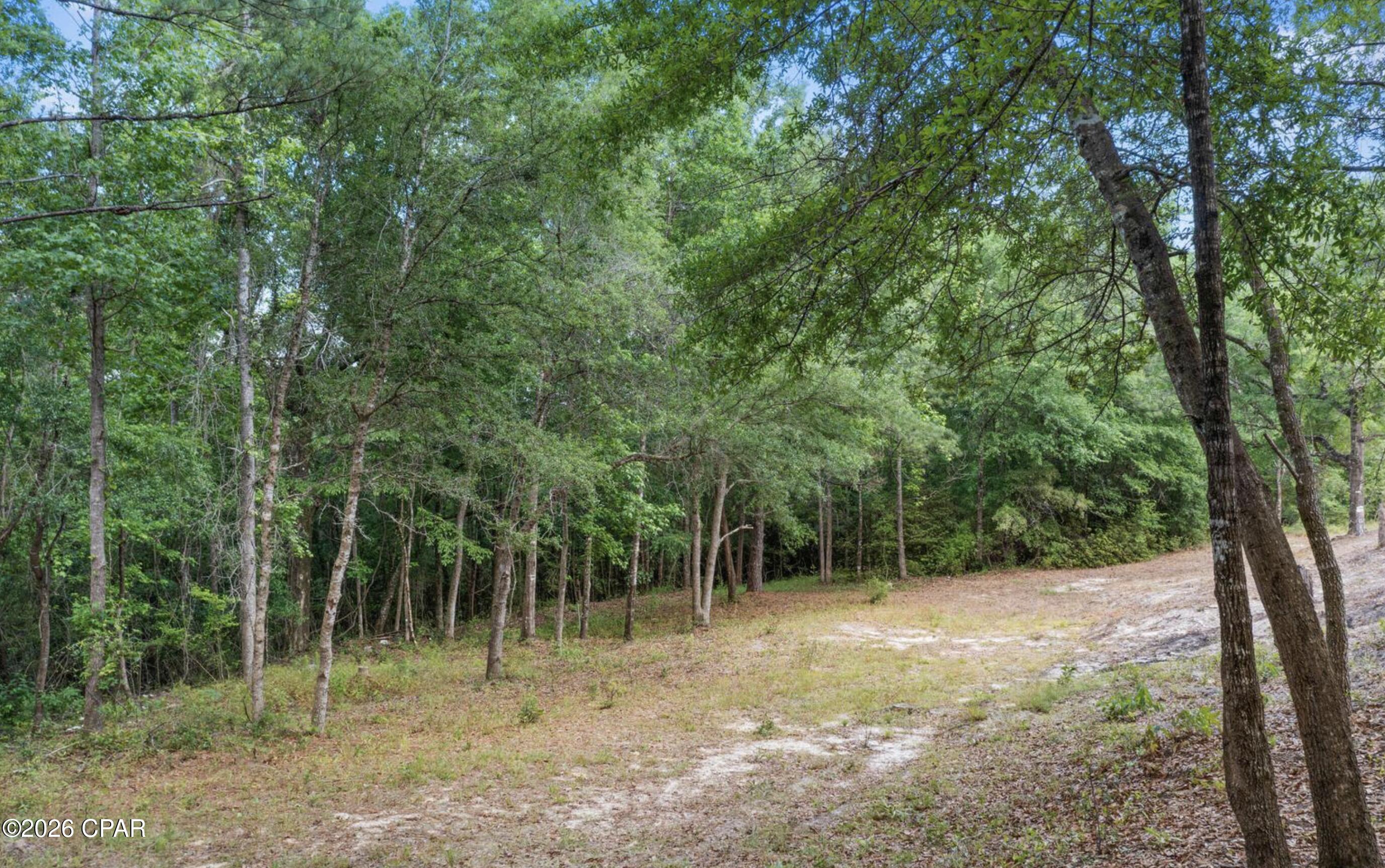 main property photo 9