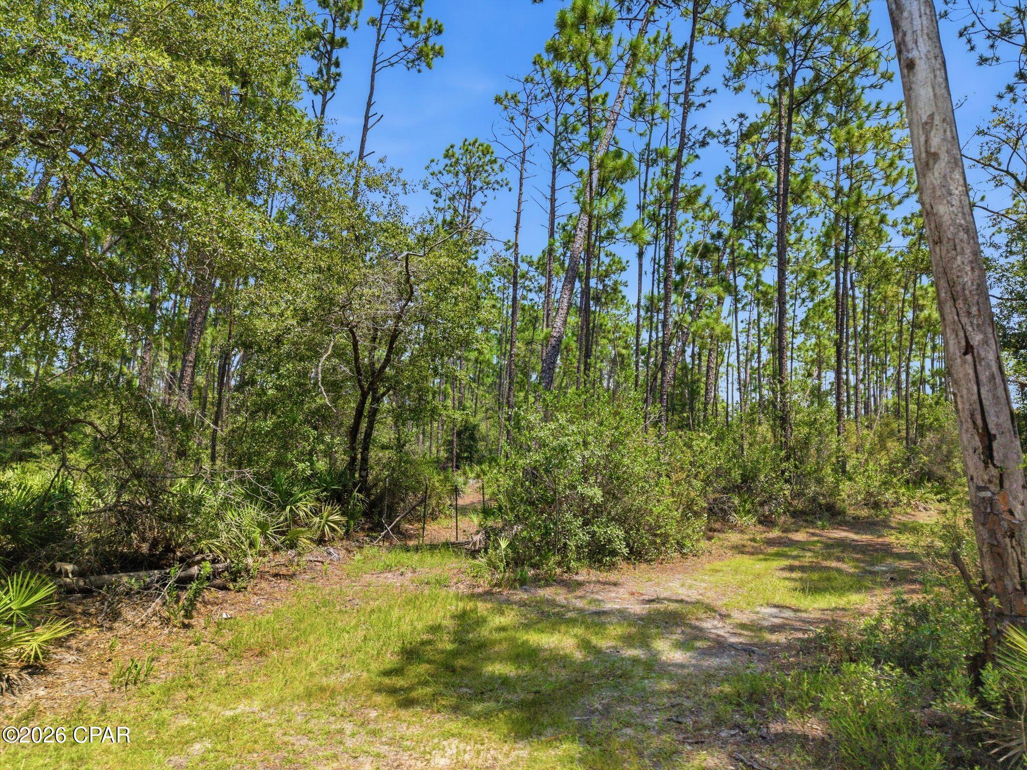 main property photo 13